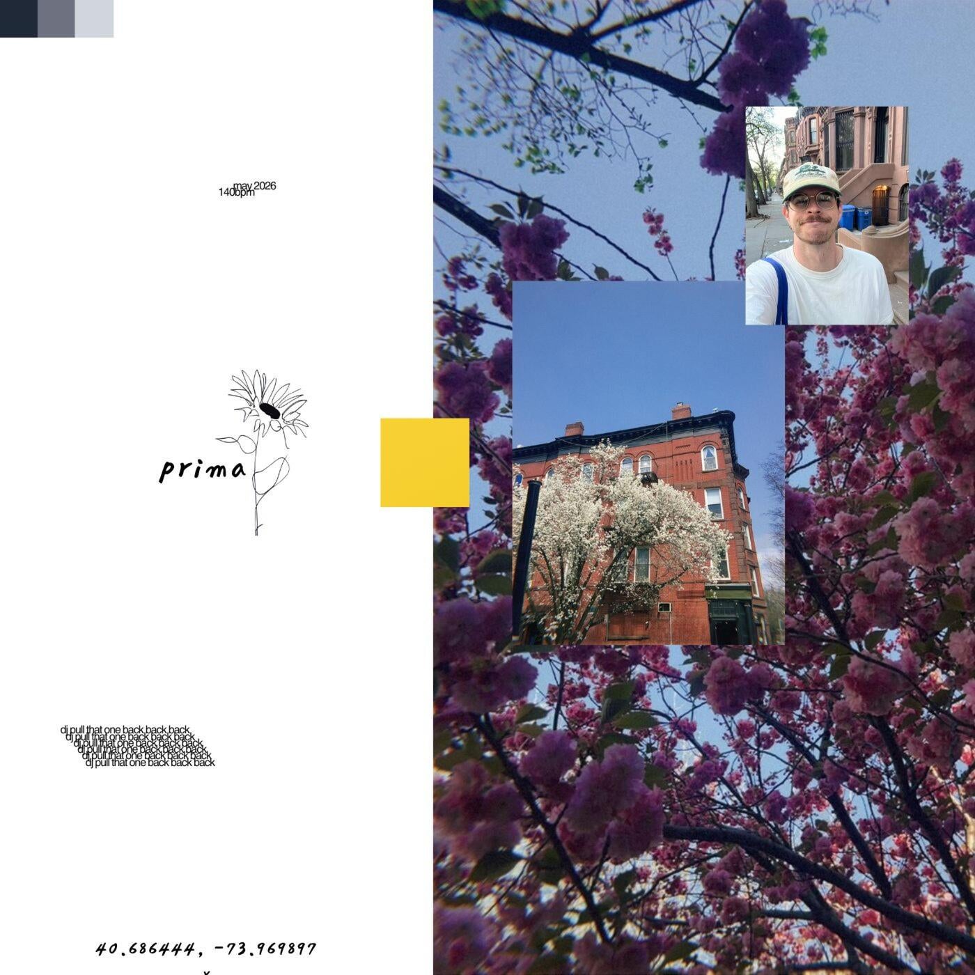 Cover - Dunne - prima (Original Mix) Promo tools