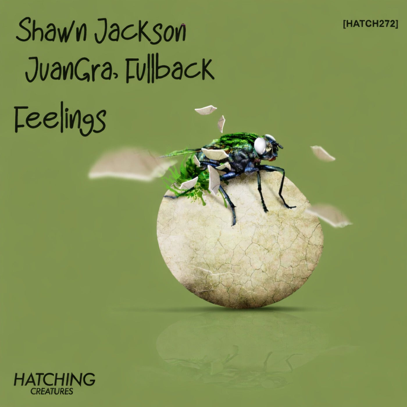 Cover - Shawn Jackson, Fullback, JuanGra - Feelings (Original Mix) Promo tools