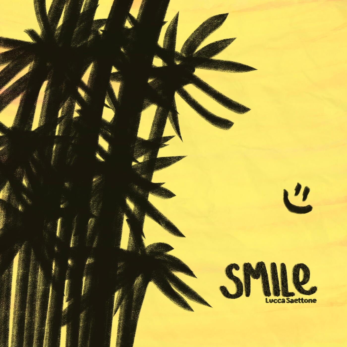 Cover - Lucca Saettone - Smile (Extended mix) Promo tools
