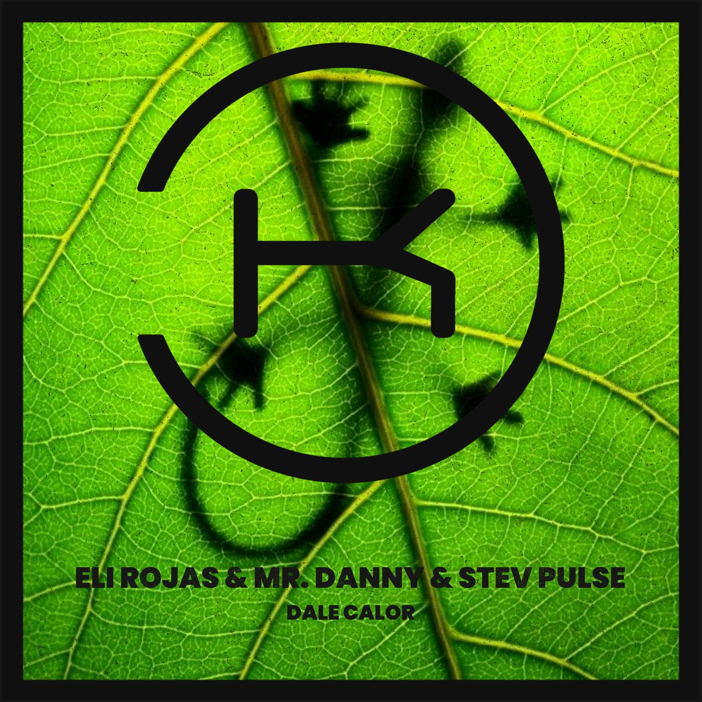 Cover - Mr. Danny, Eli Rojas, Stev Pulse - Dale Calor (Extended Mix) Promo tools