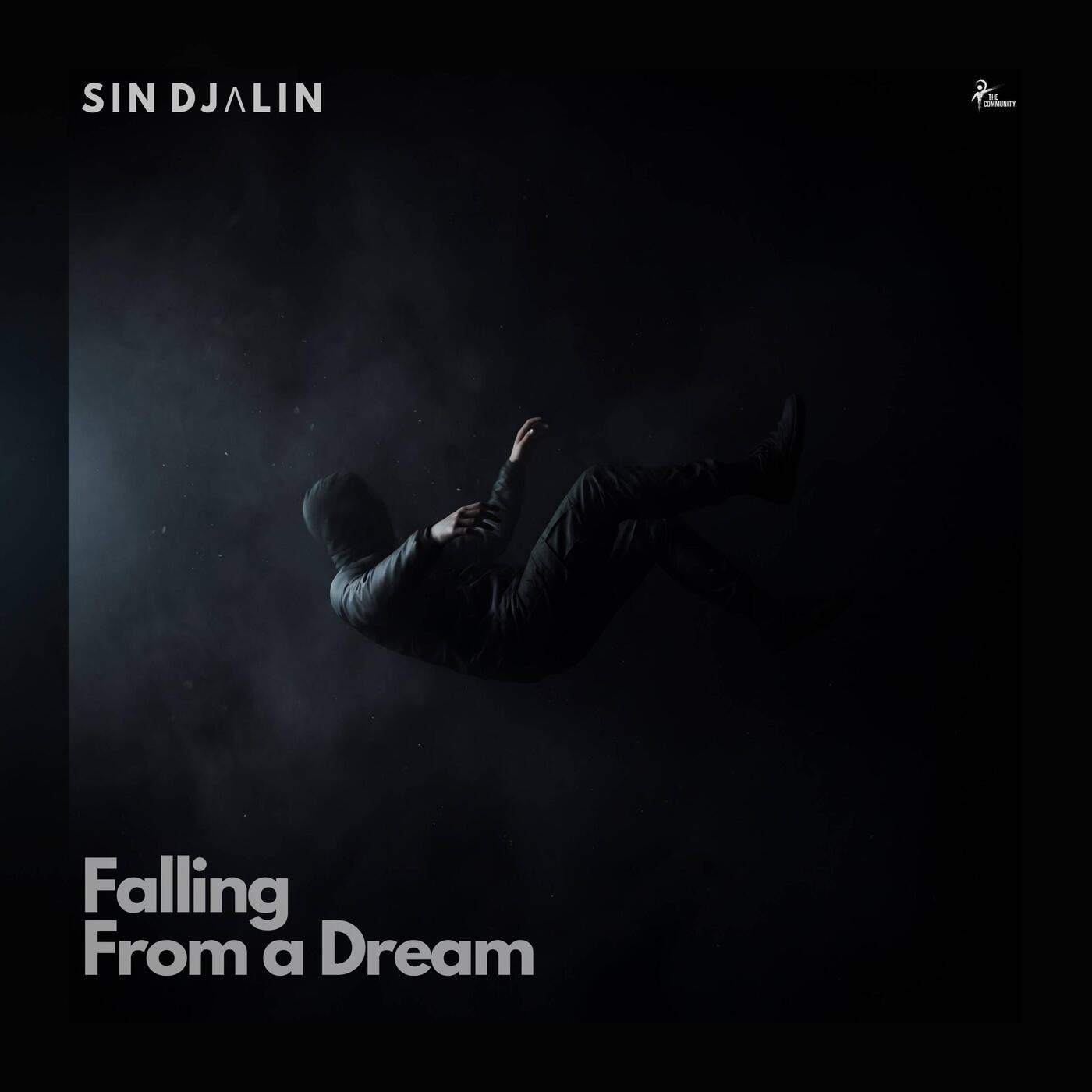 Cover - Sin Djalin - Falling From a Dream (Original Mix) Promo tools
