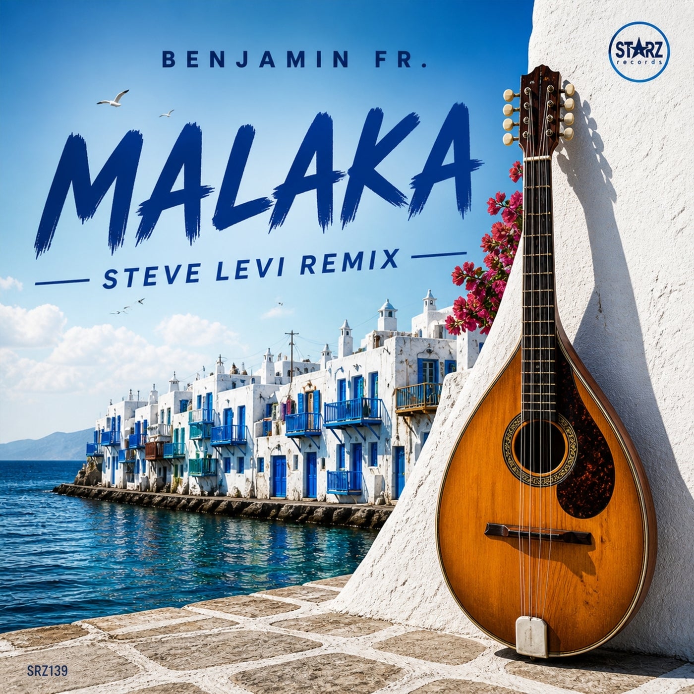 Cover - BENJAMIN FR. - Malaka (Steve Levi Remix) Promo tools