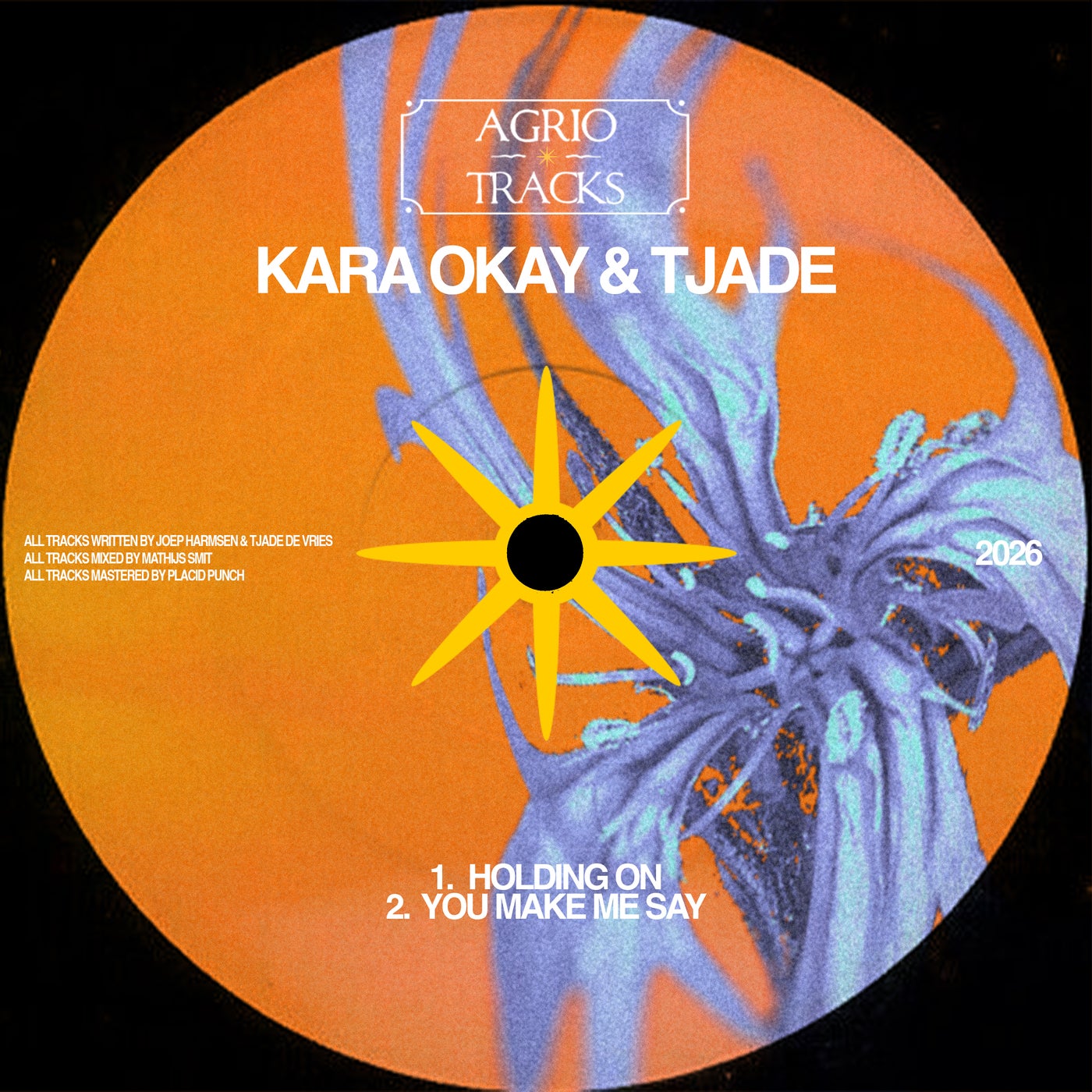 Cover - Tjade, Kara Okay - You Make Me Say (Original Mix) Promo tools