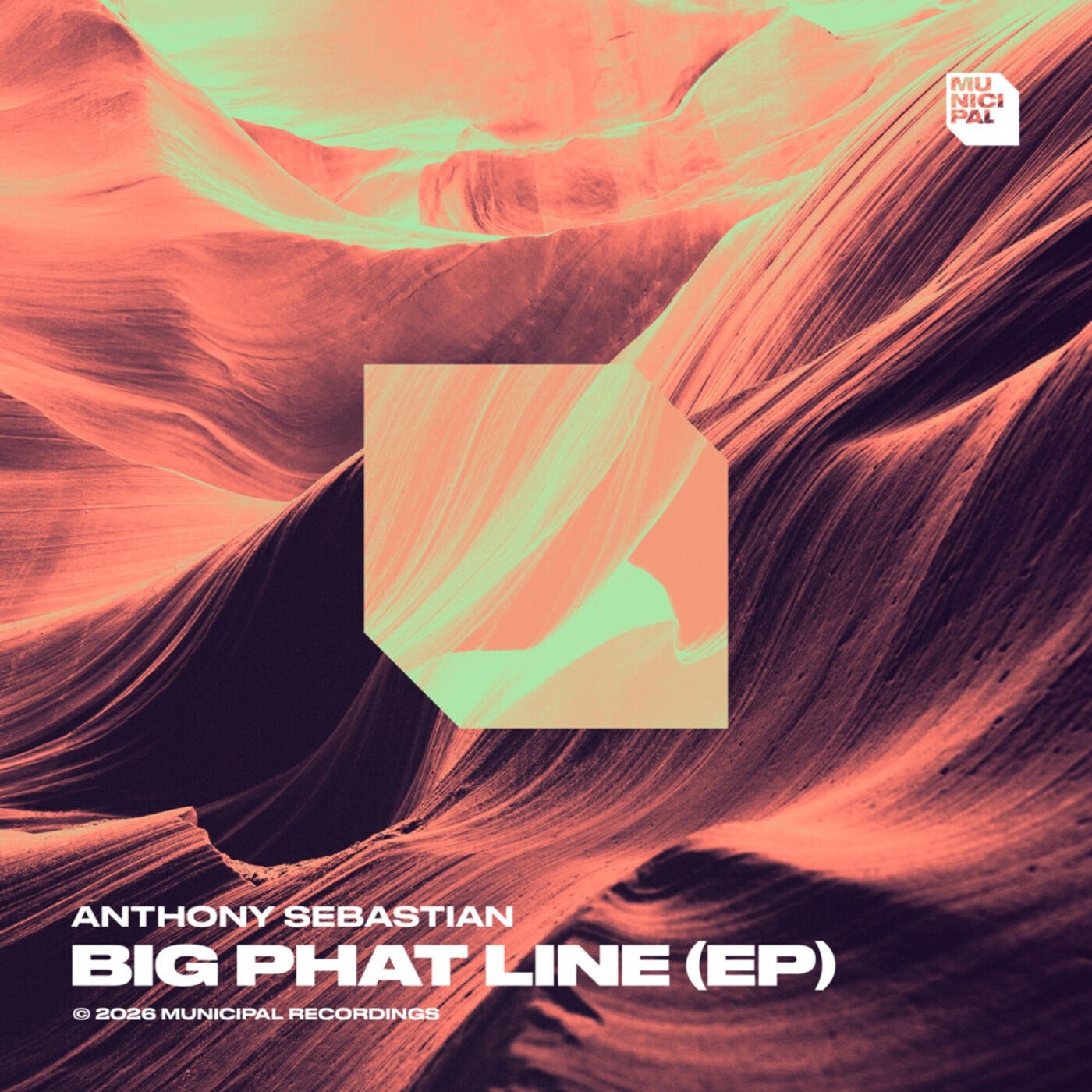 Cover - Anthony Sebastian - The Religion (Extended Mix) Promo tools
