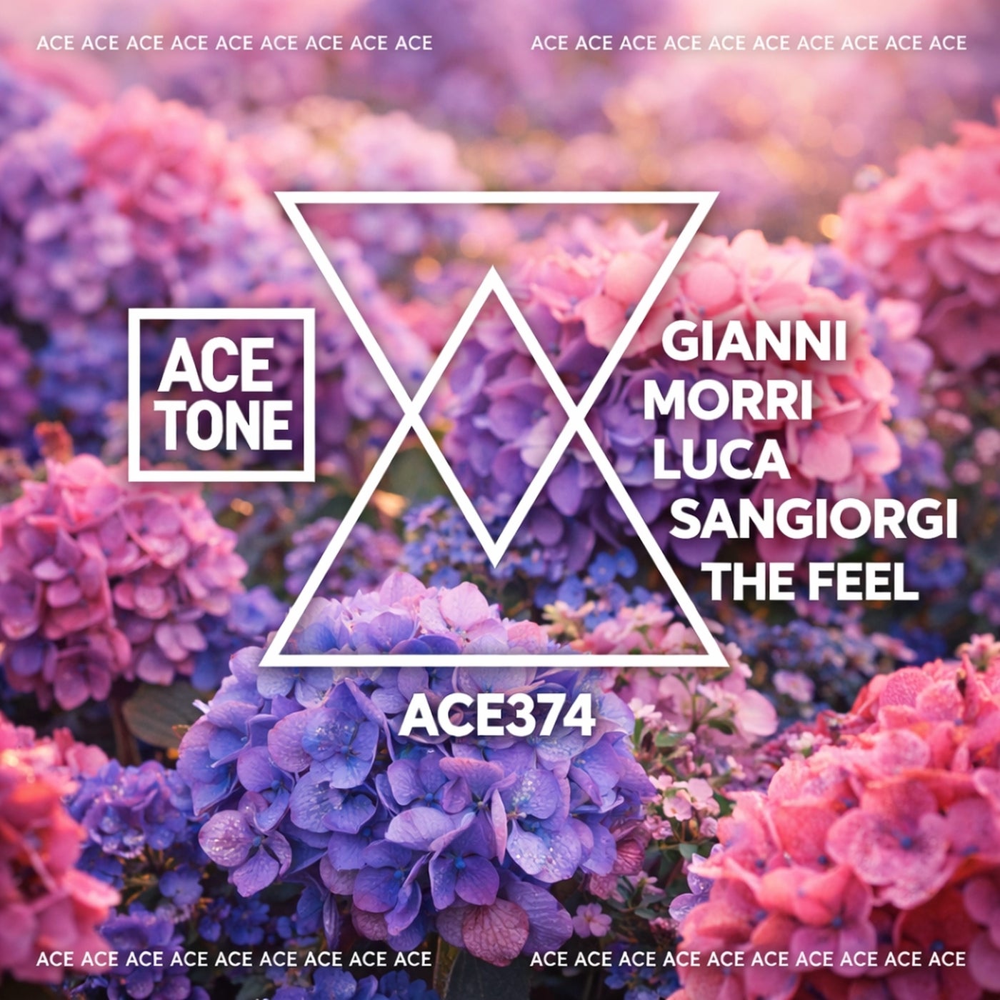 Cover - Gianni Morri, Luca Sangiorgi - The Feel (Original Mix) Promo tools