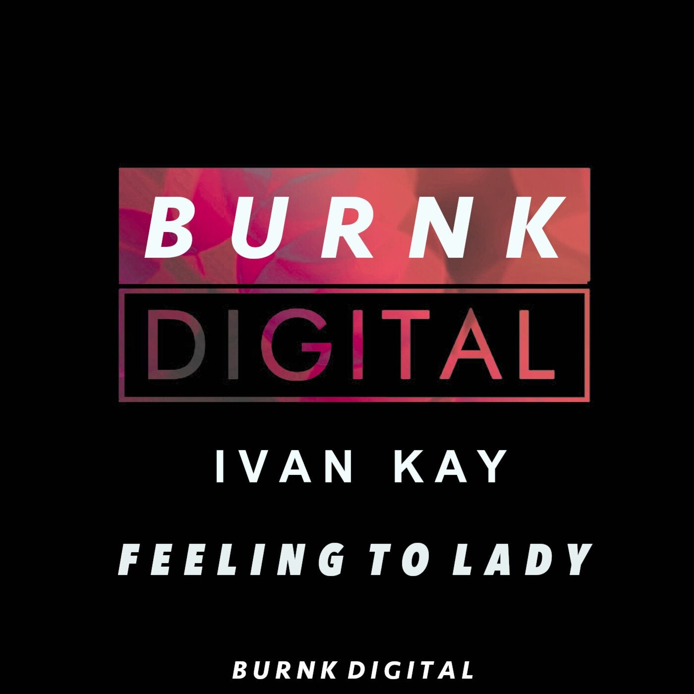 Cover - Ivan Kay - Feeling to Lady (Original Mix) Promo tools