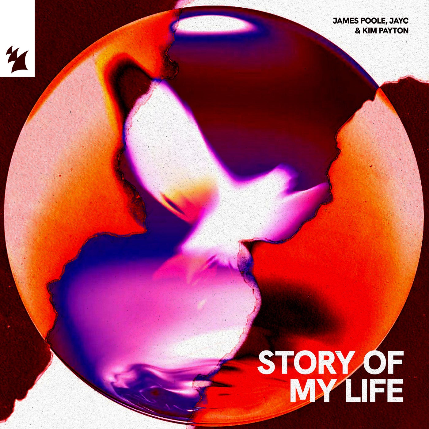 Cover - James Poole, JayC (NL), Kim Payton - Story Of My Life (Extended Mix) Promo tools