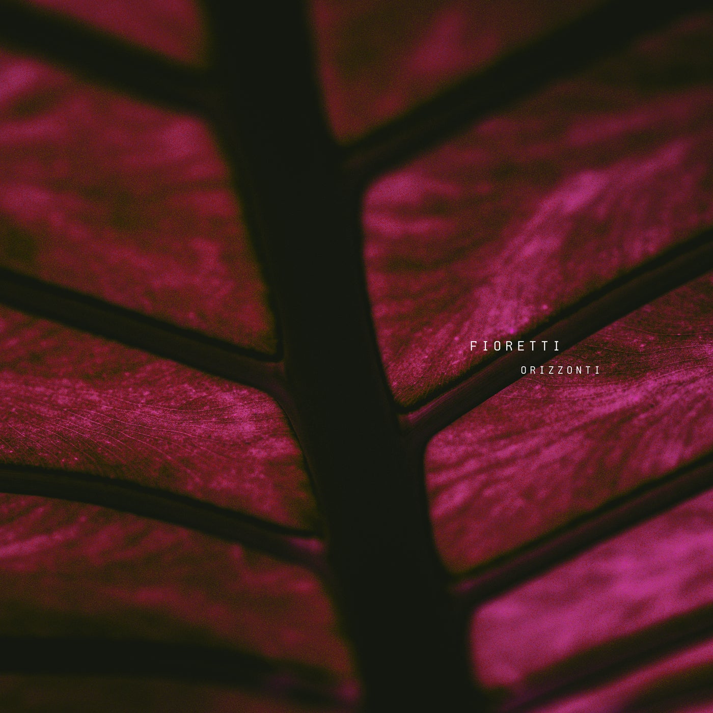 Cover - Fioretti - Suzanne (Original Mix) Promo tools