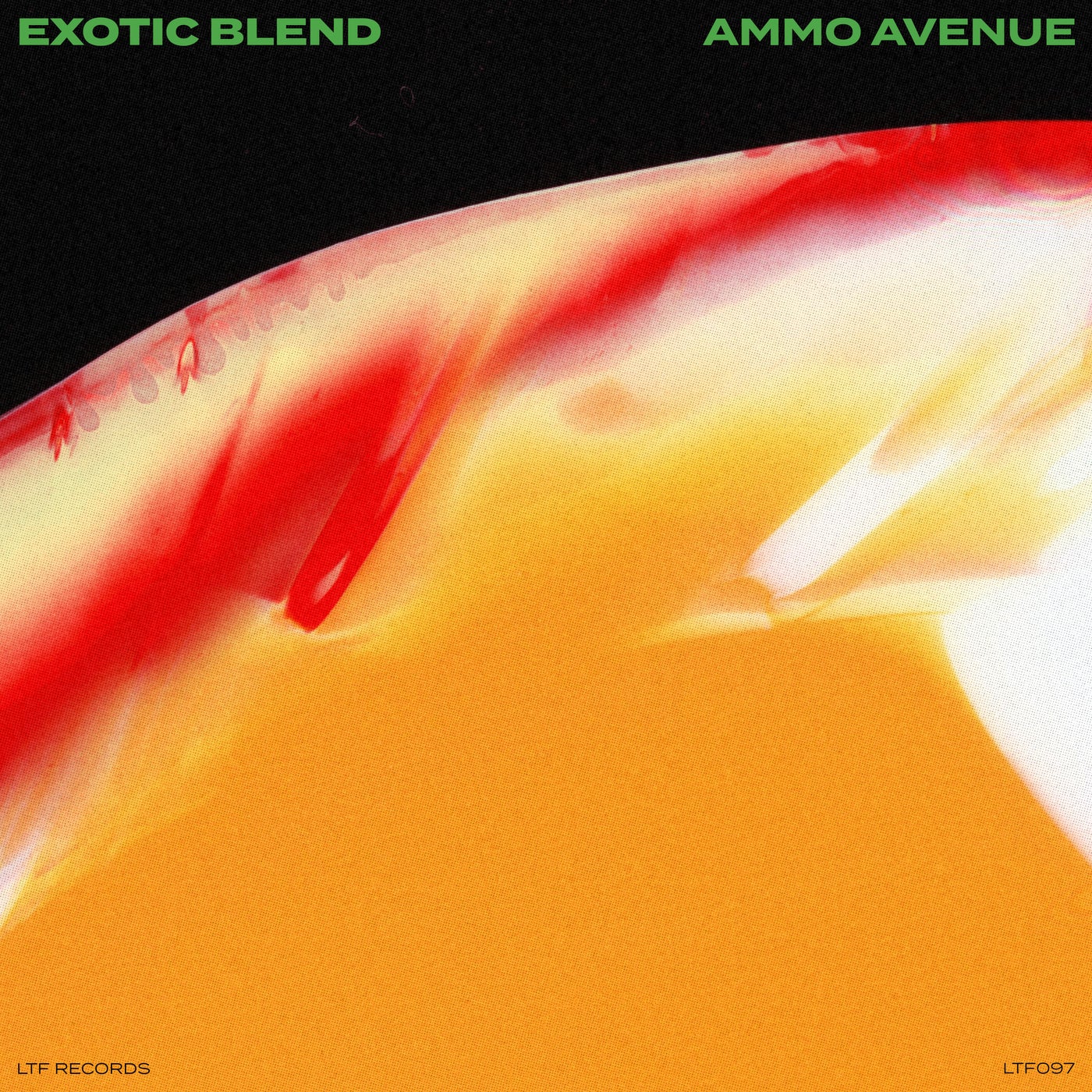 Cover - Ammo Avenue - Exotic Blend (Extended Mix) Promo tools