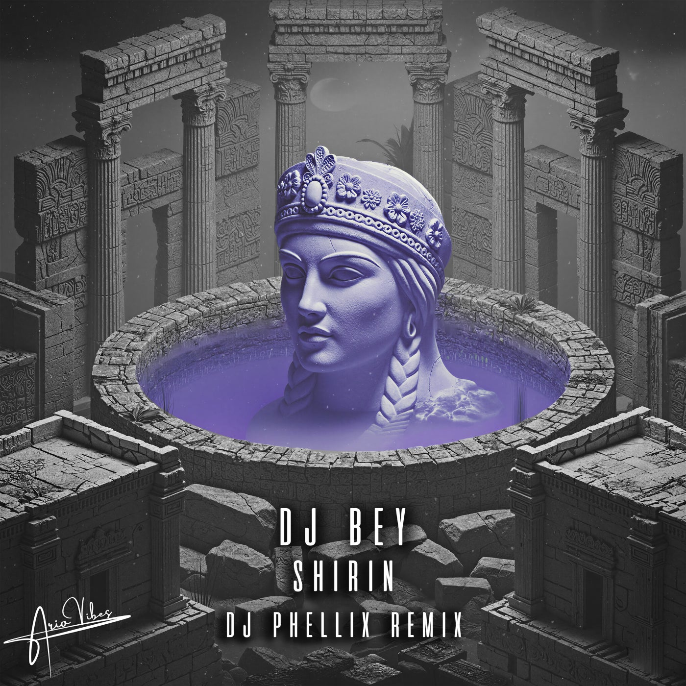 Cover - DJ Bey, Ario Vibes - Shirin (DJ Phellix Remix) Promo tools
