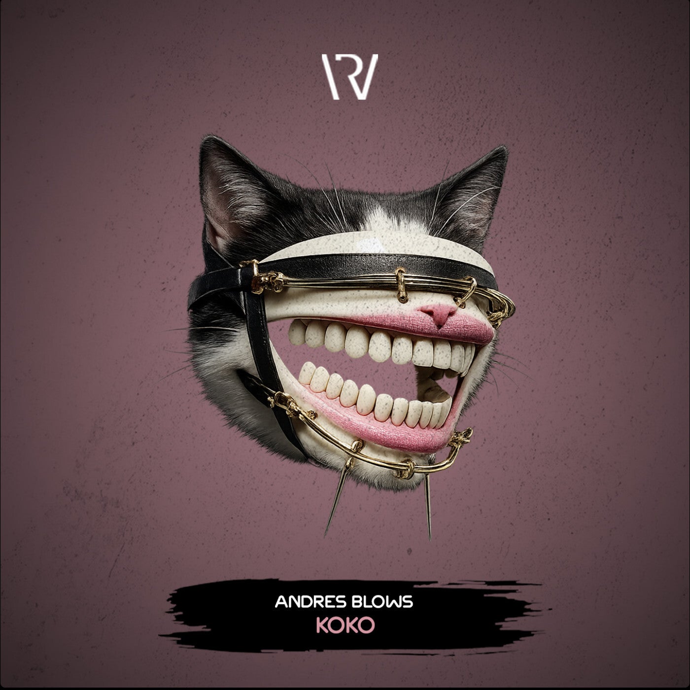 Cover - Andres Blows - Koko (Original Mix) Promo tools