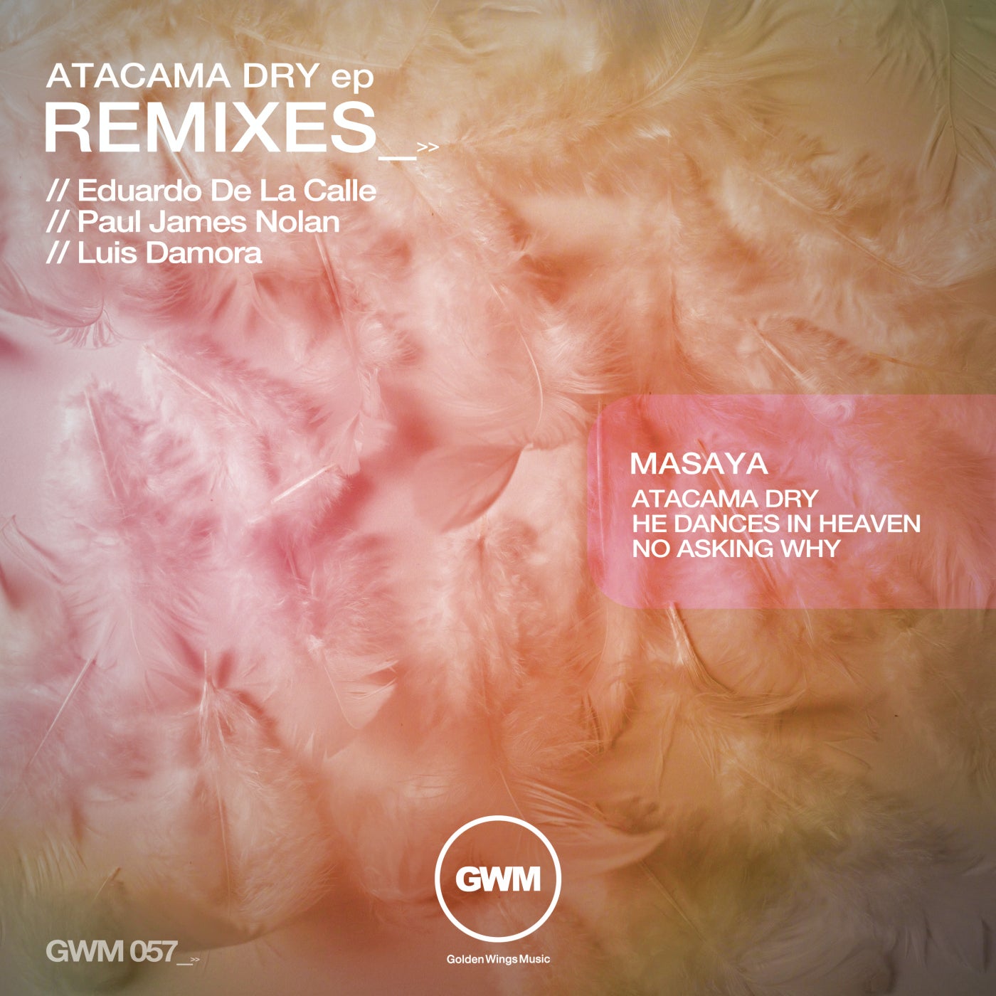 Cover - Masaya (CH) - Atacama Dry (Paul James Nolan Remix) Promo tools
