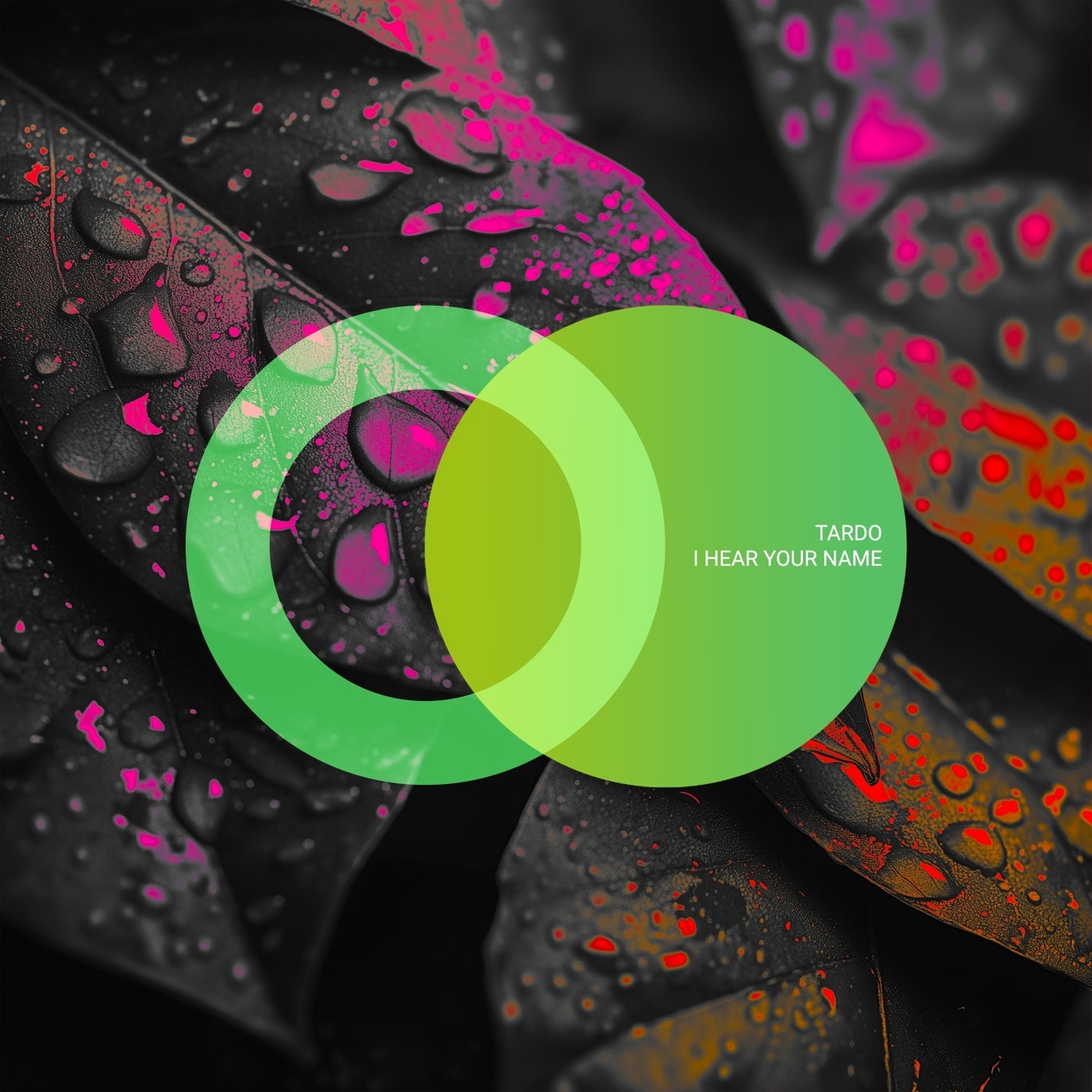 Cover - TarDo - Coliseum (Original Mix) Promo tools