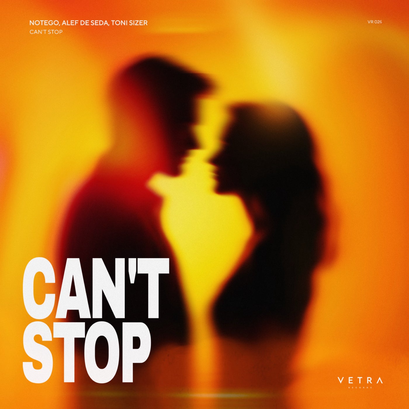 Cover - TONI SIZER, Alef De Seda, Notego - Can't Stop (Extended Mix) Promo tools