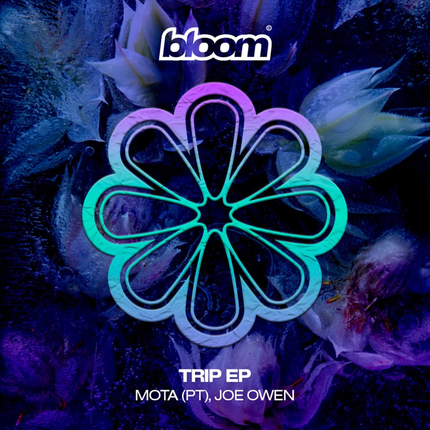 Cover - Joe Owen, Mota (PT) - Trip (Original Mix) Promo tools