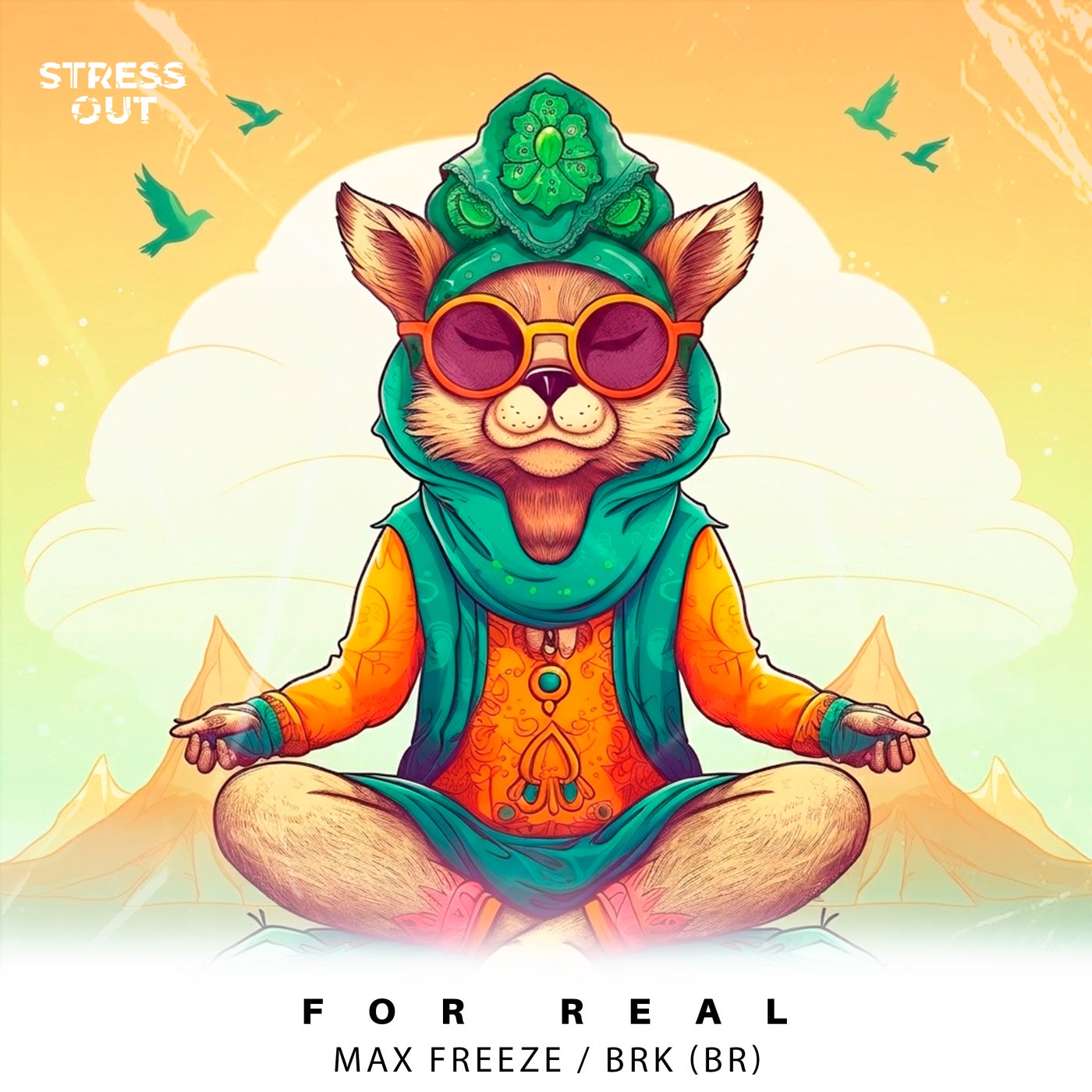 Cover - BRK (BR), Max Freeze - For Real (Extended Mix) Promo tools