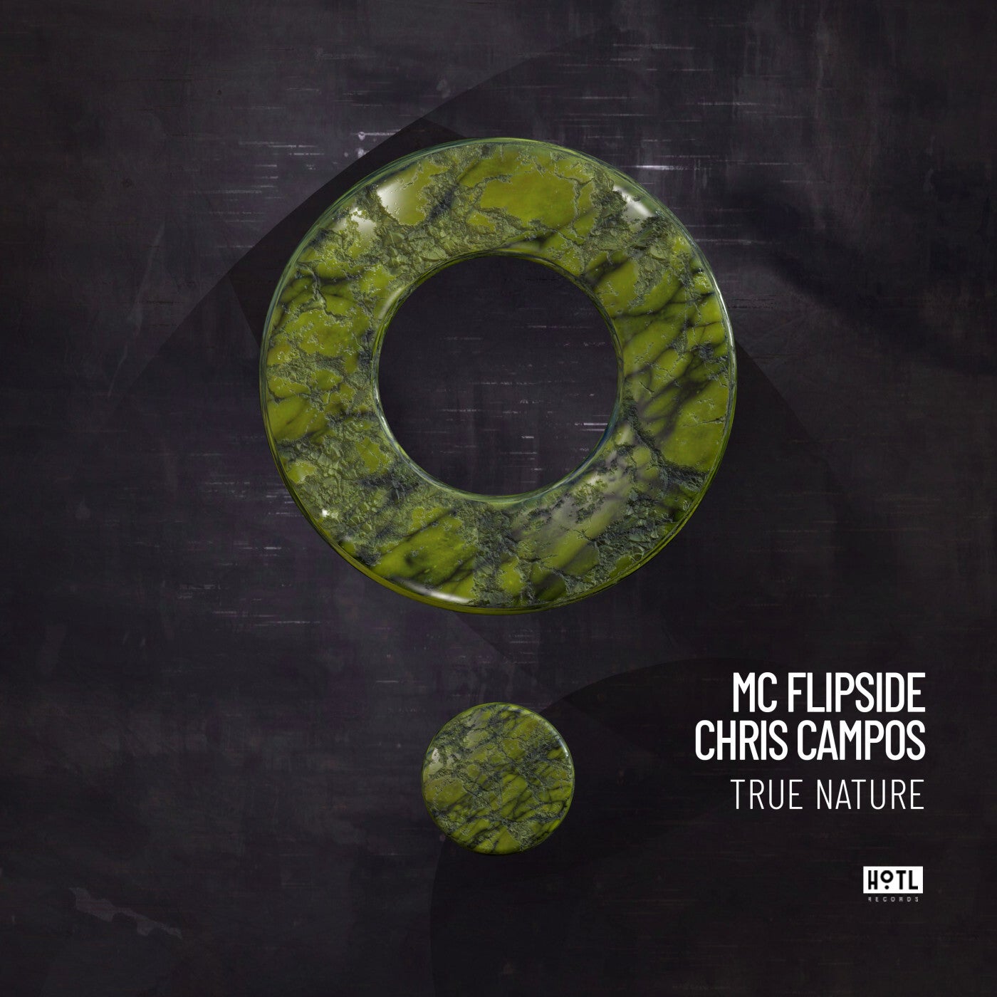 Cover - MC Flipside, Chris Campos - True Nature (Original Mix) Promo tools