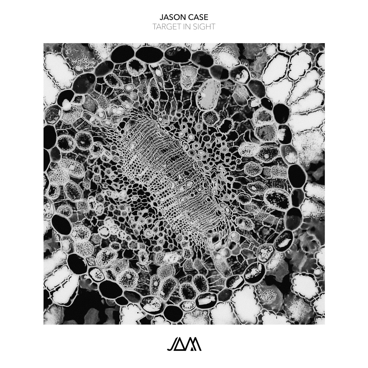 Cover - Jason Case - Mental (Original Mix) Promo tools