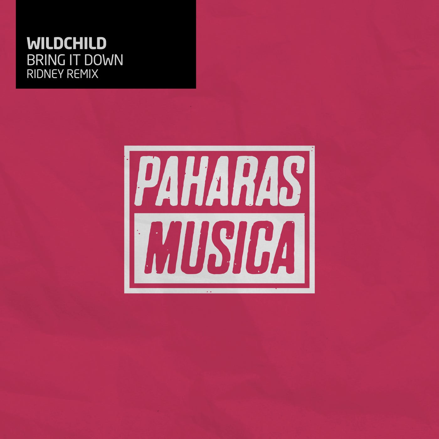 Cover - Wildchild - Bring It Down (Ridney Remix) Promo tools