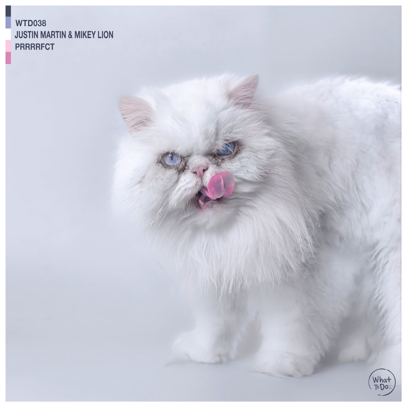 Cover - Justin Martin, Mikey Lion, Desert Hearts - Prrrrfct (Original Mix) Promo tools