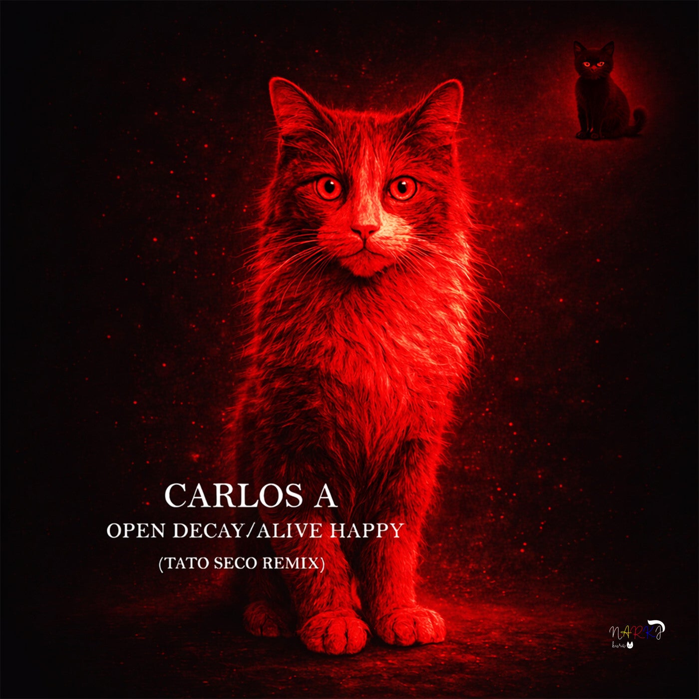 Cover - Carlos A - Open Decay (Tato Seco Remix) Promo tools