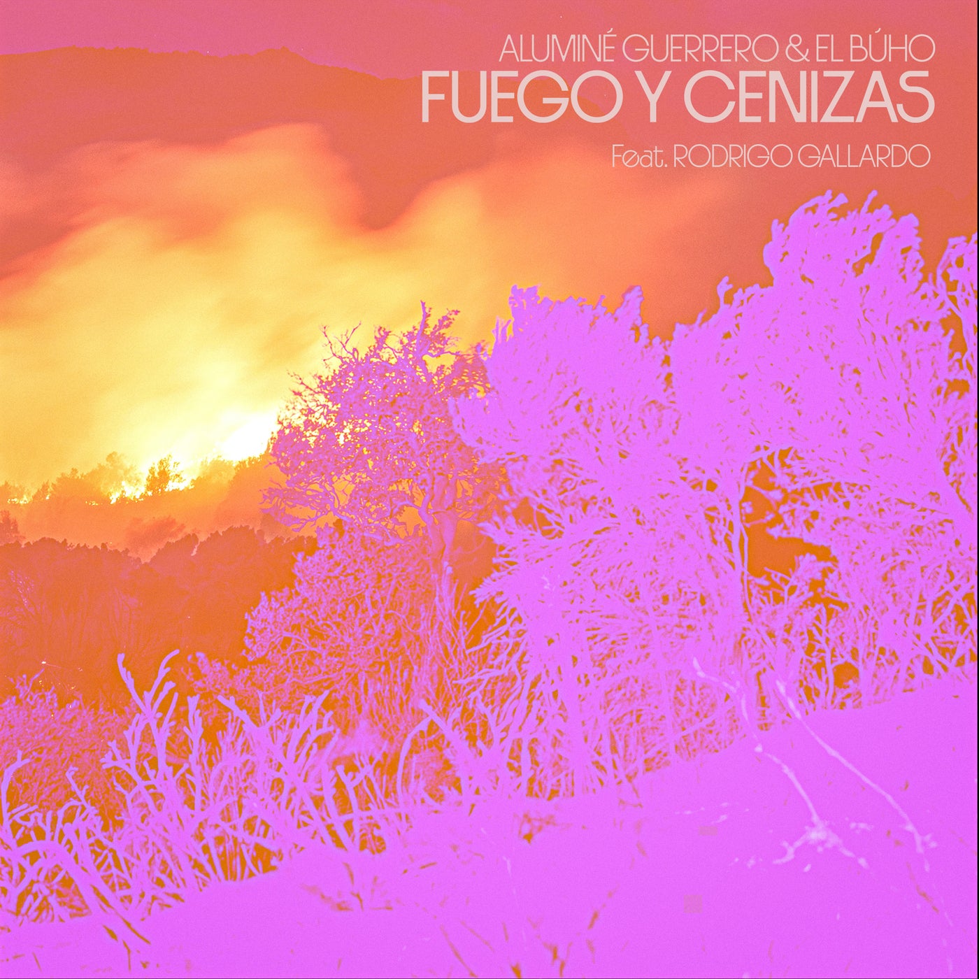 Cover - El Buho, Rodrigo Gallardo, Aluminé Guerrero - Fuego y Cenizas (Original Mix) Promo tools