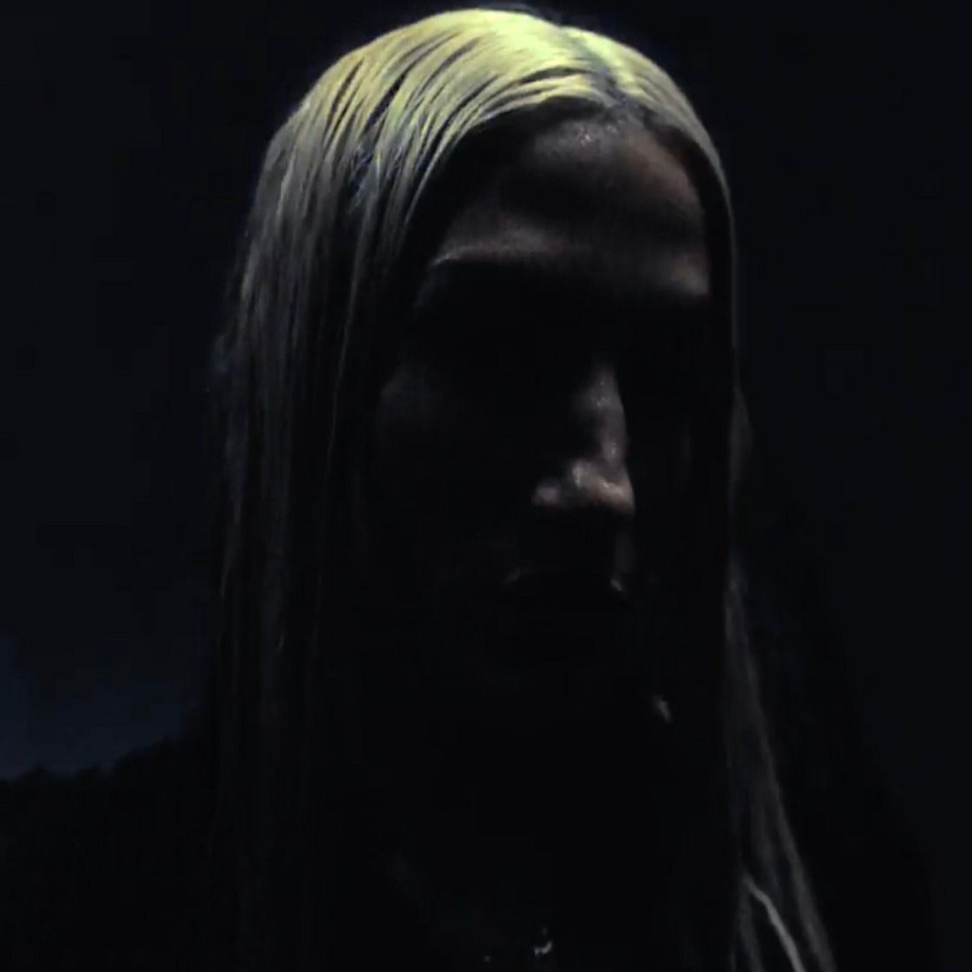 Cover - Lee Ann Roberts - IN THE SHADOWS (Extended Version) Promo tools