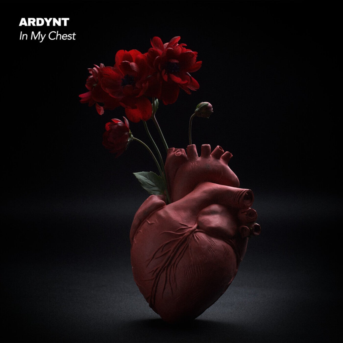 Cover - Ardynt - In My Chest (Extended Mix) Promo tools