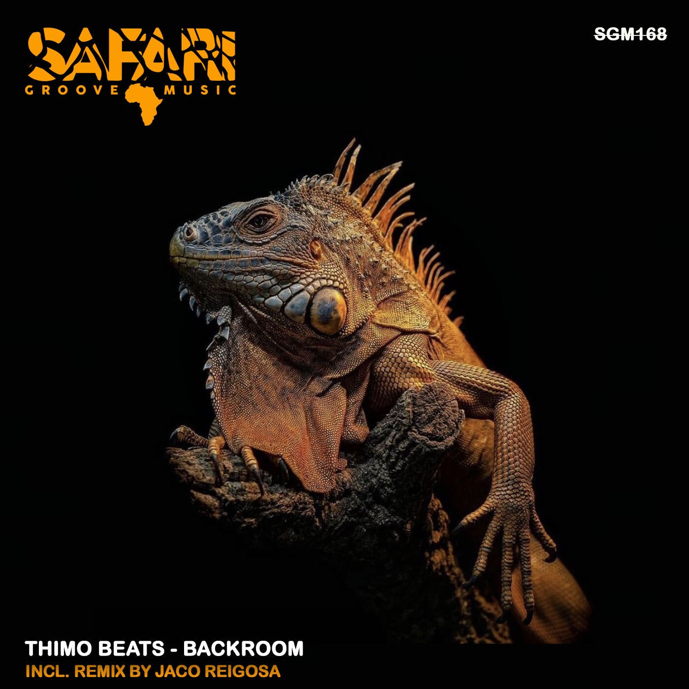 Cover - Thimo Beats - Backroom (Jaco Reigosa Remix) Promo tools