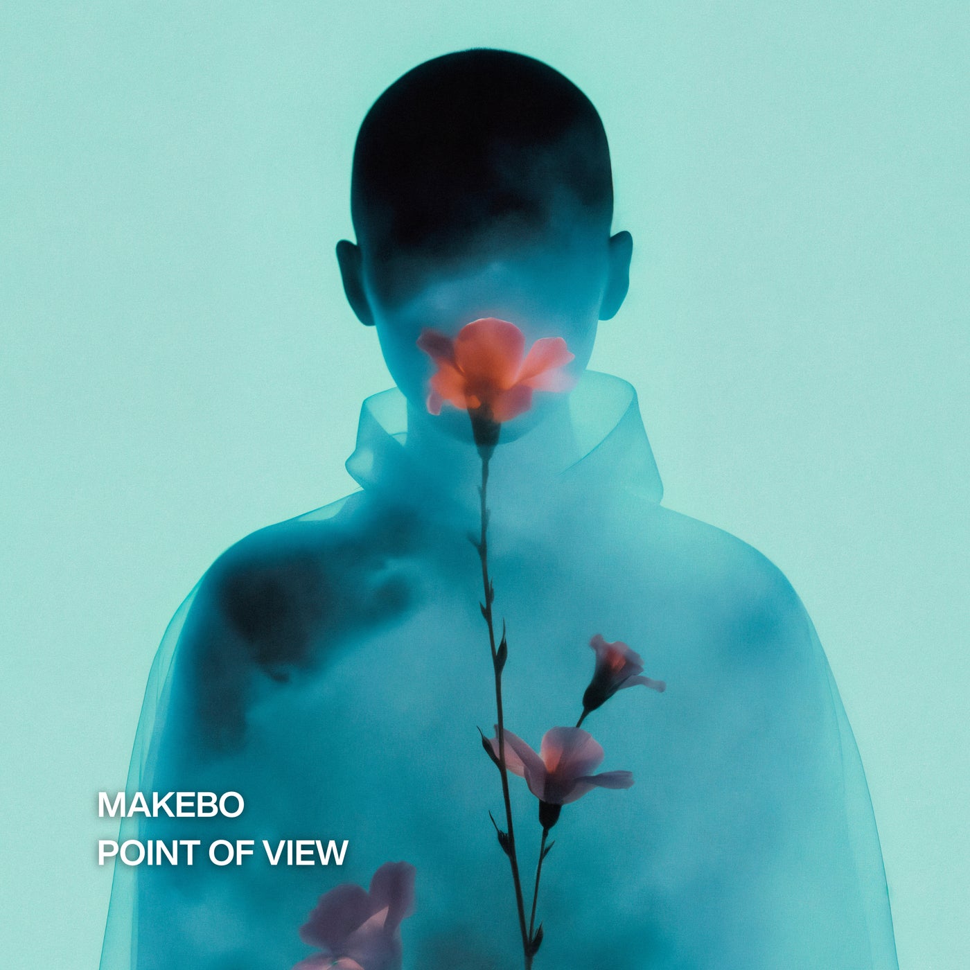 Cover - Makebo - Point Of View (Extended Mix) Promo tools