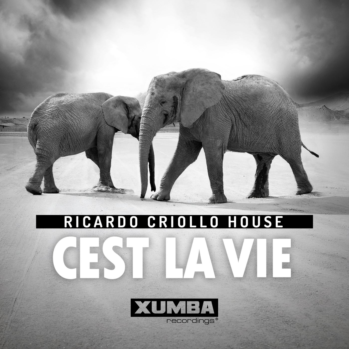 Cover - Ricardo Criollo House - Cest La Vie (Extended Mix) Promo tools