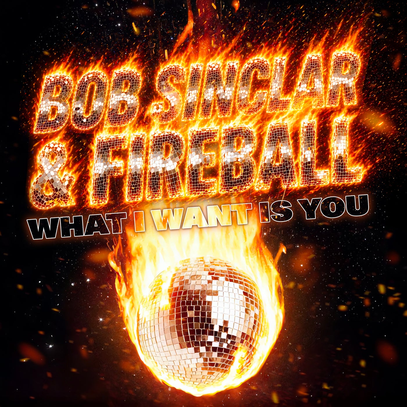 Cover - Bob Sinclar, Fireball - What I Want Is You (Extended) Promo tools