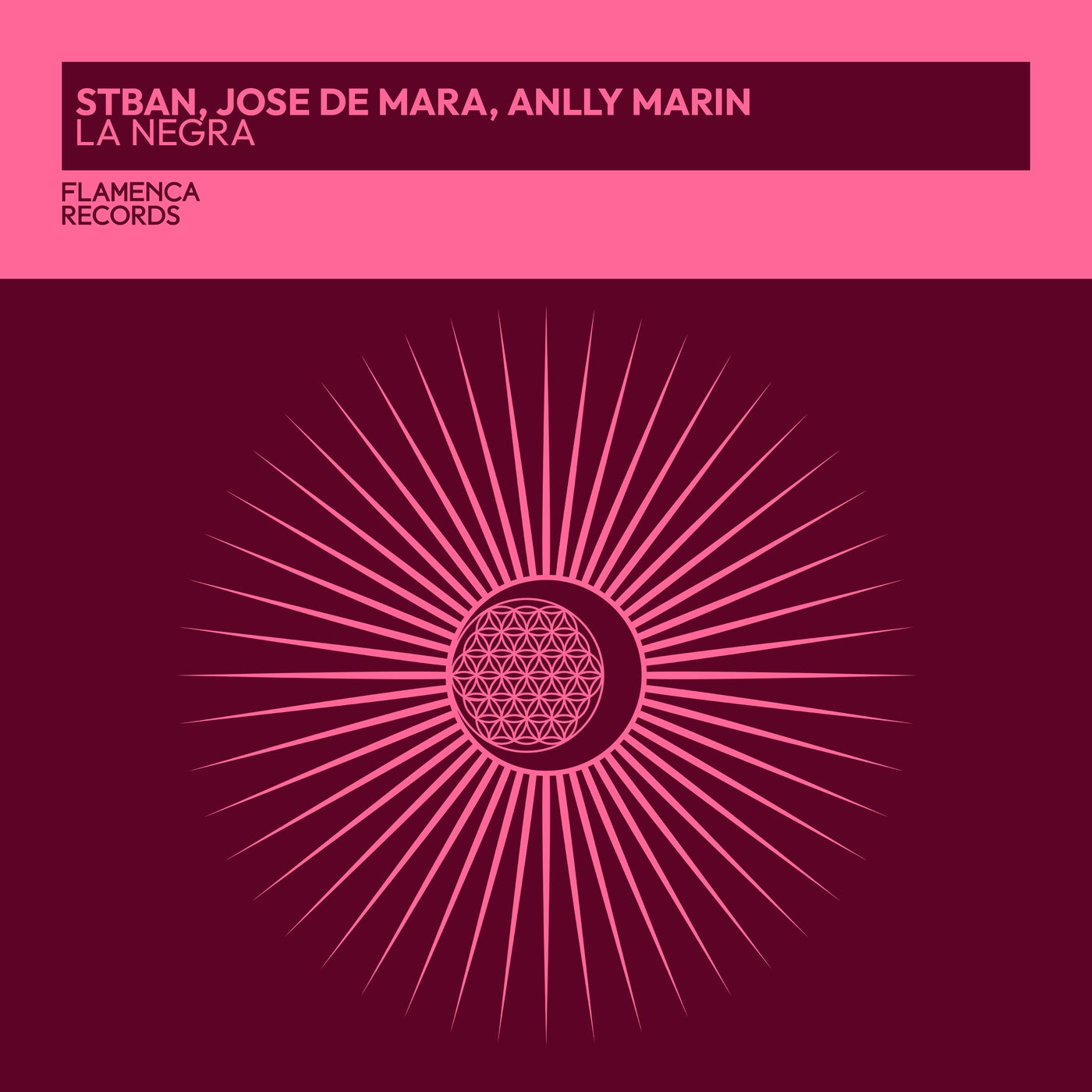 Cover - Jose De Mara, Anlly Marin, STBAN - La Negra (Extended Mix) Promo tools