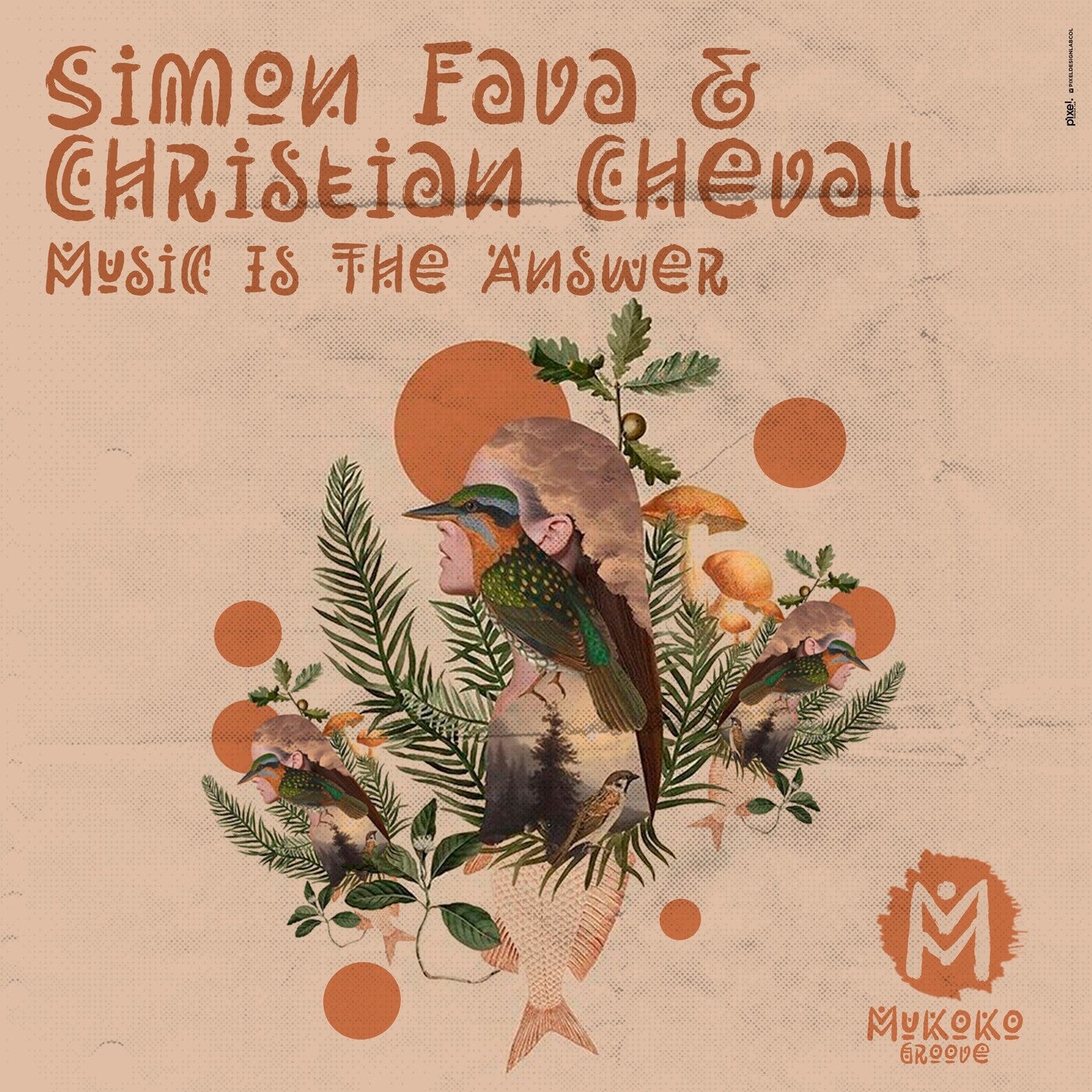 Cover - Christian Cheval, Simon Fava - Music Is the Answer (Extended Mix) Promo tools