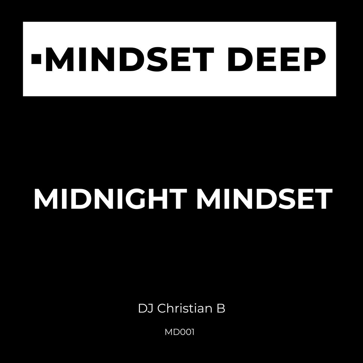 Cover - DJ Christian B - Can we go Back? (Original Mix) Promo tools