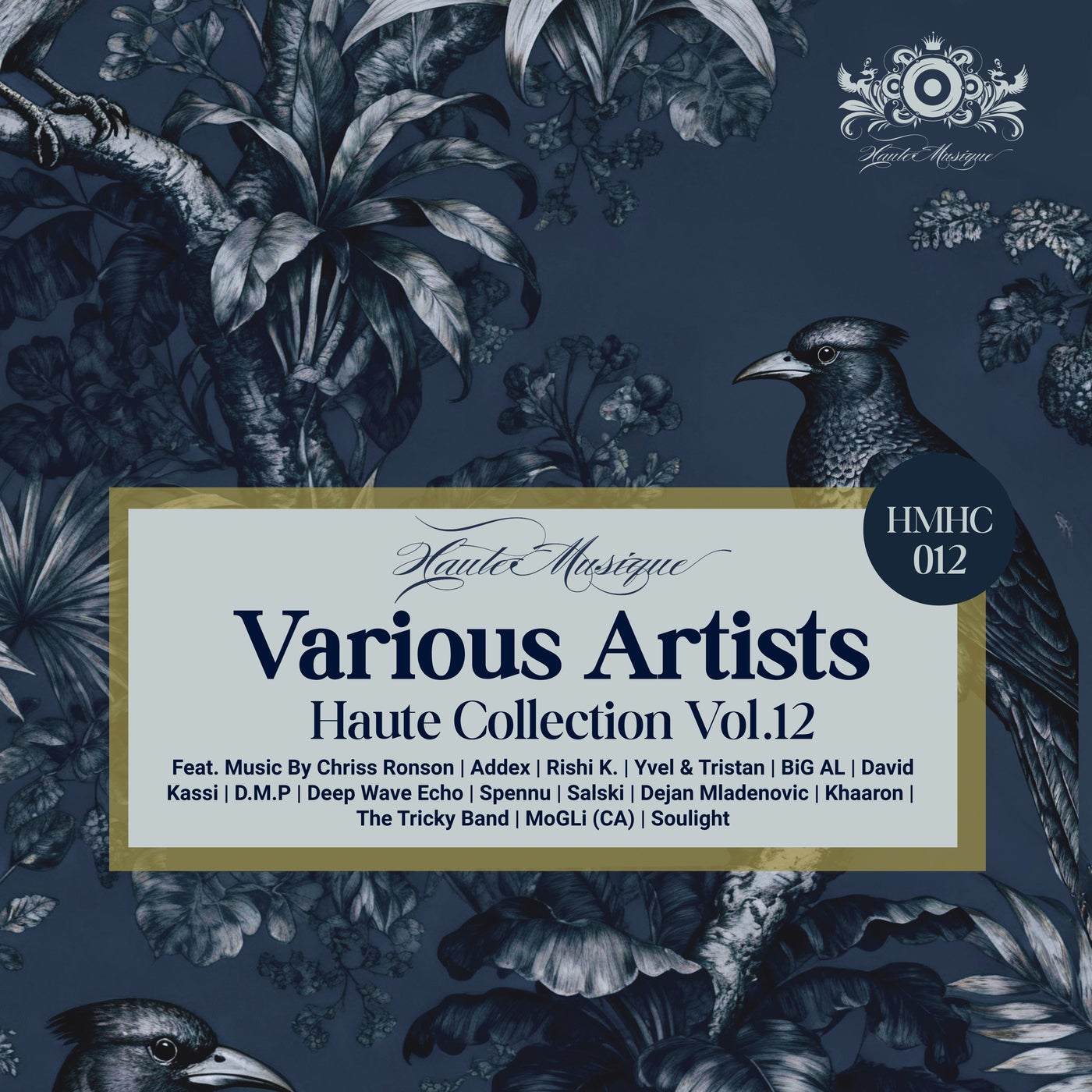 Cover - Rishi K. - Unity Gain (D.M.P 'Tribute' Remix) Promo tools