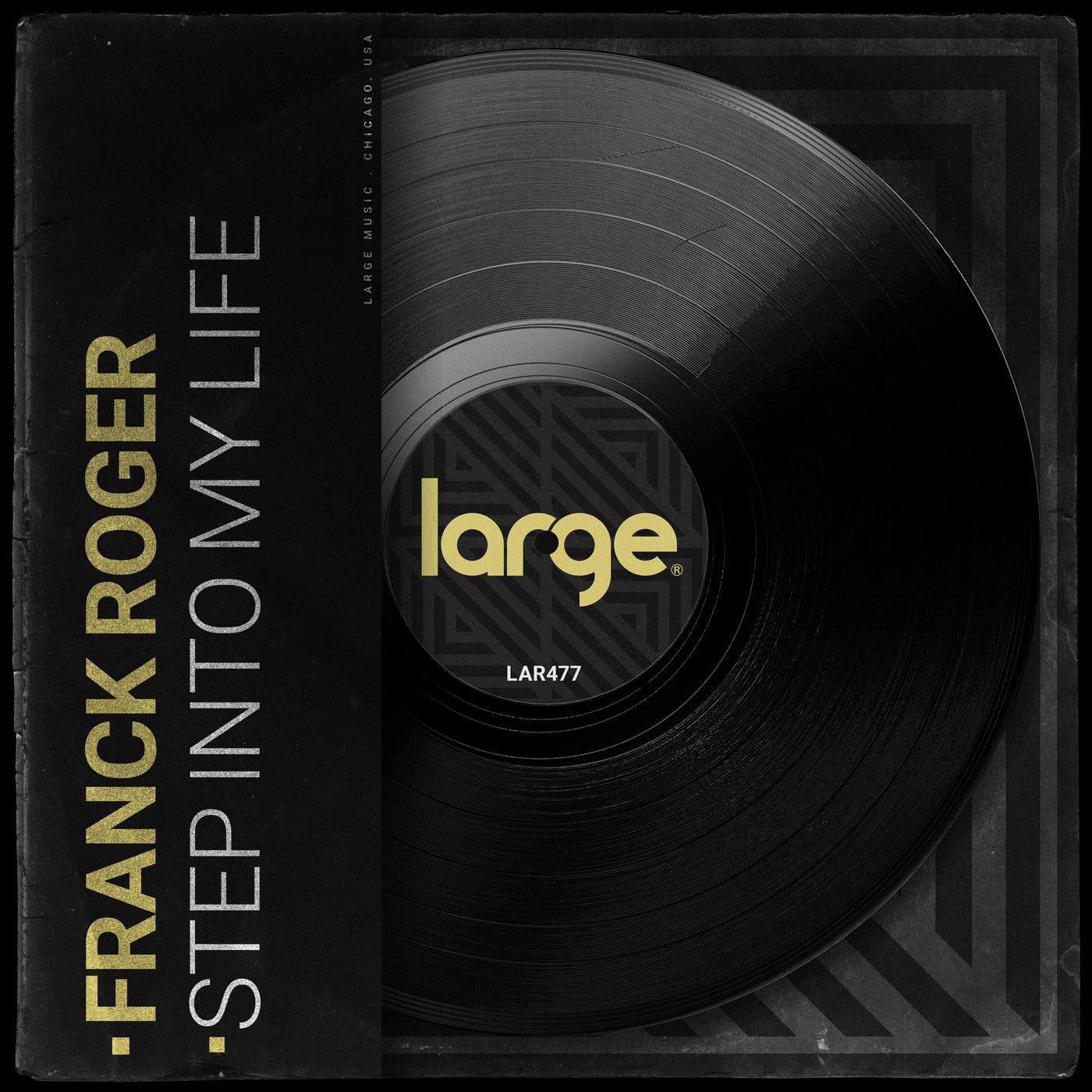 Cover - Franck Roger - Step Into My Life (Original Mix) Promo tools