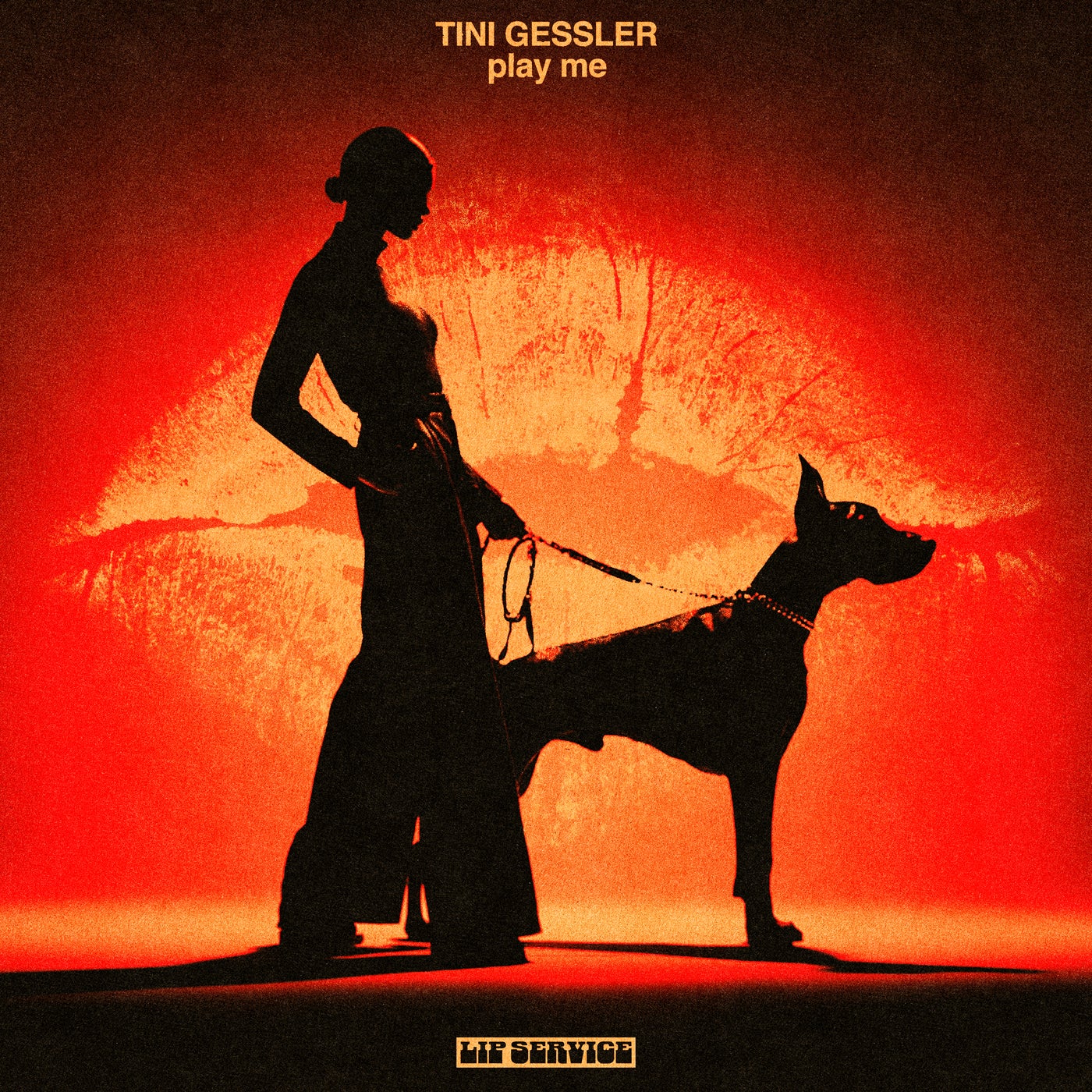 Cover - Tini Gessler - Play Me (Extended Mix) Promo tools