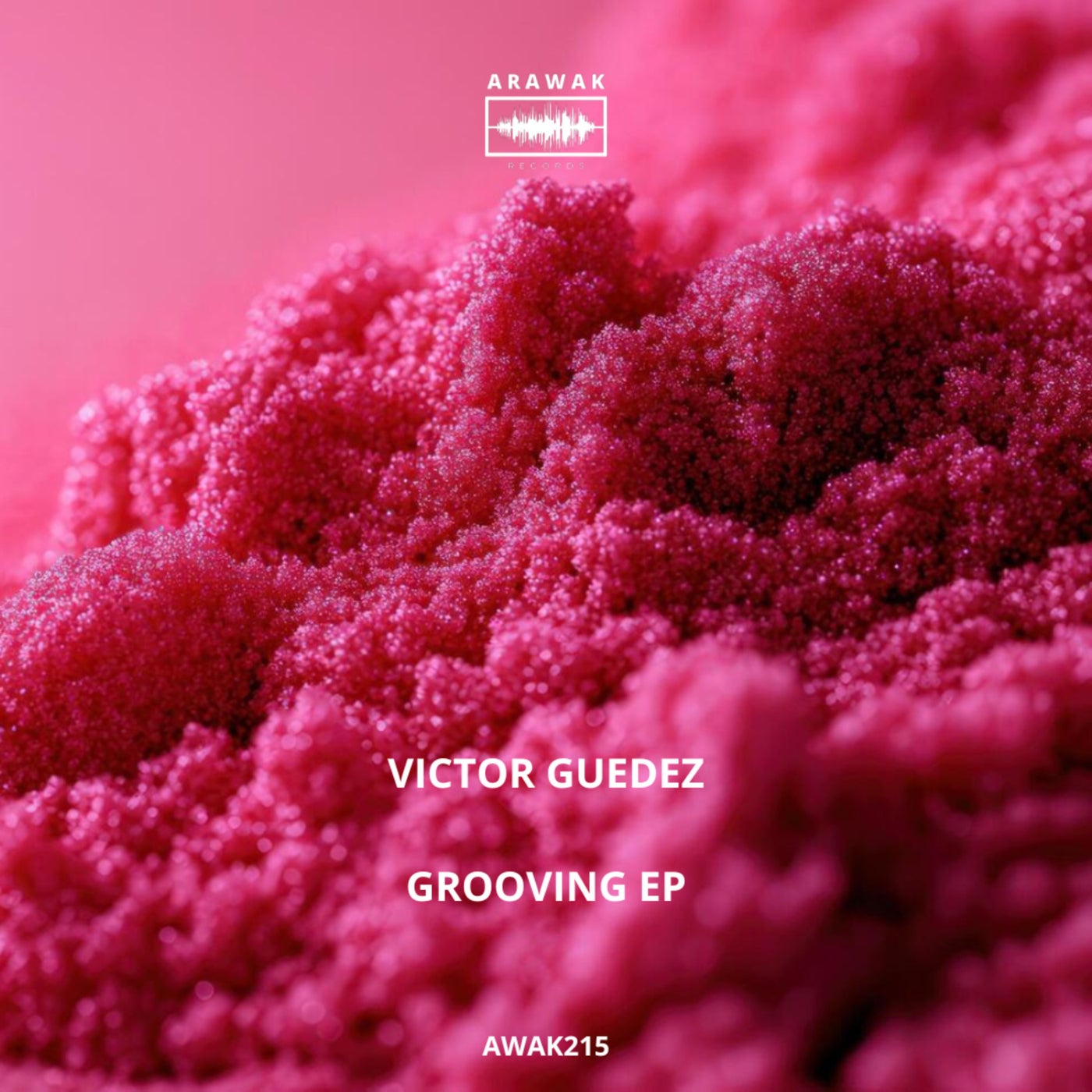 Cover - Victor Guedez - Grooving (Original Mix) Promo tools