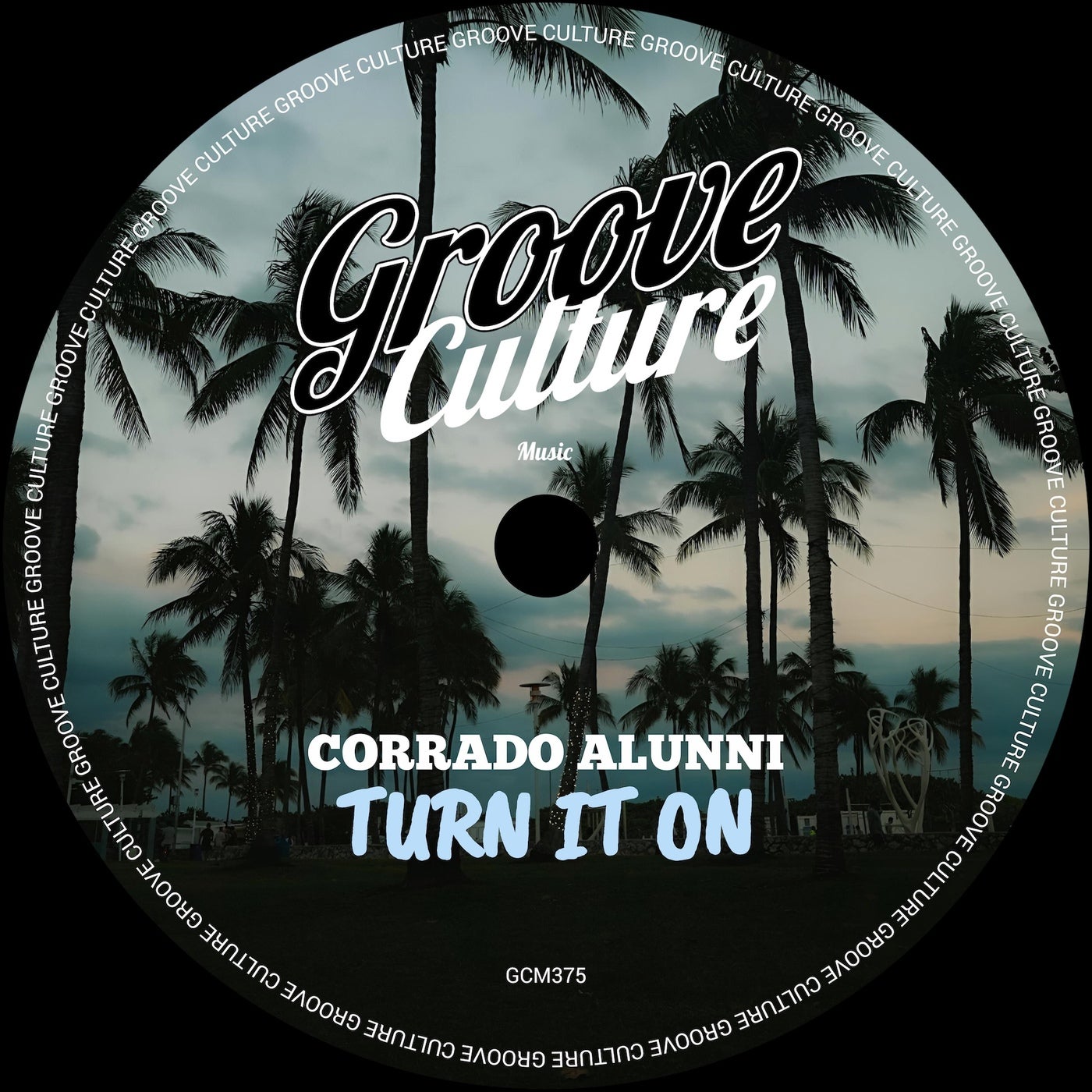 Cover - Corrado Alunni - Turn It On (Extended) Promo tools