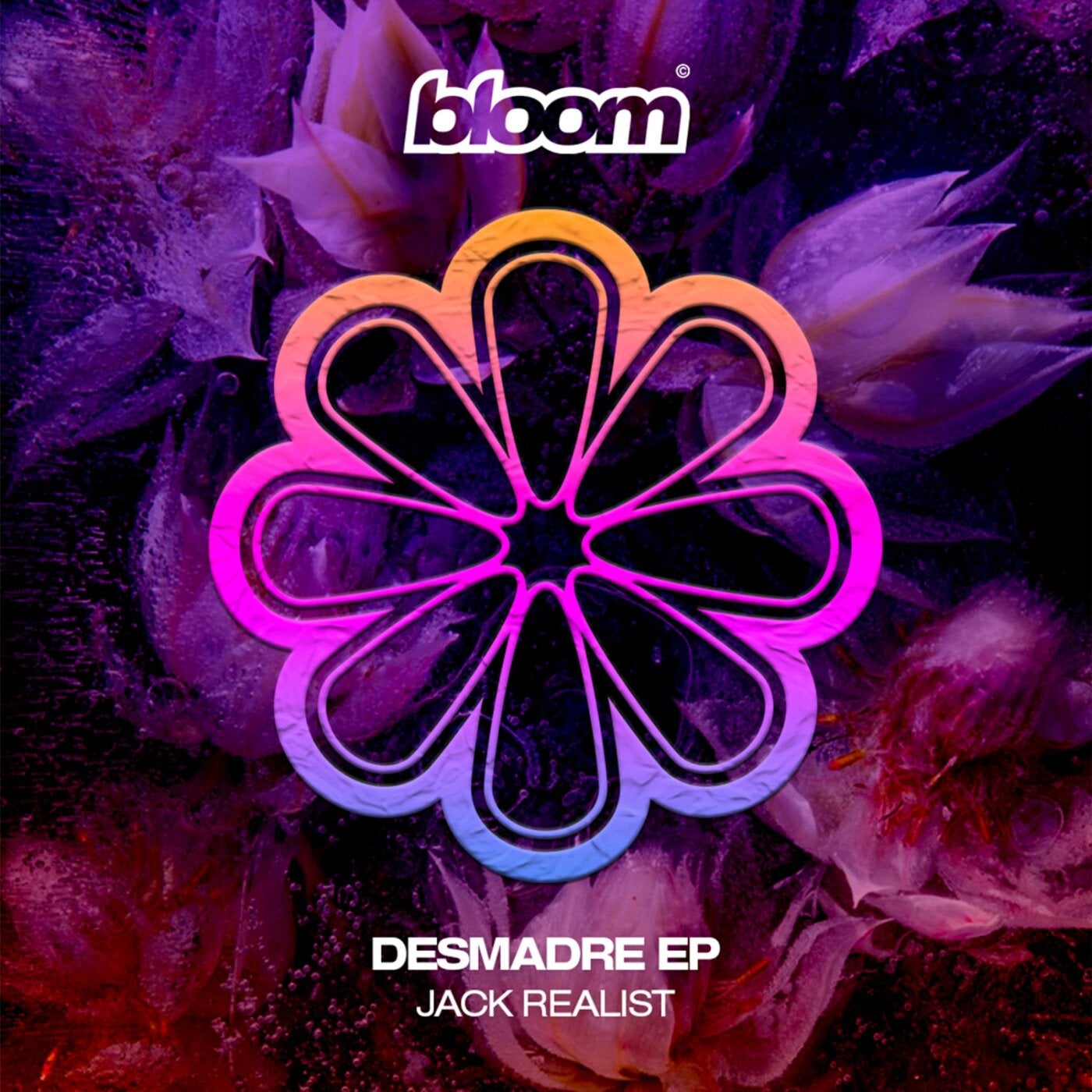Cover - Jack Realist - Desmadre (Original Mix) Promo tools