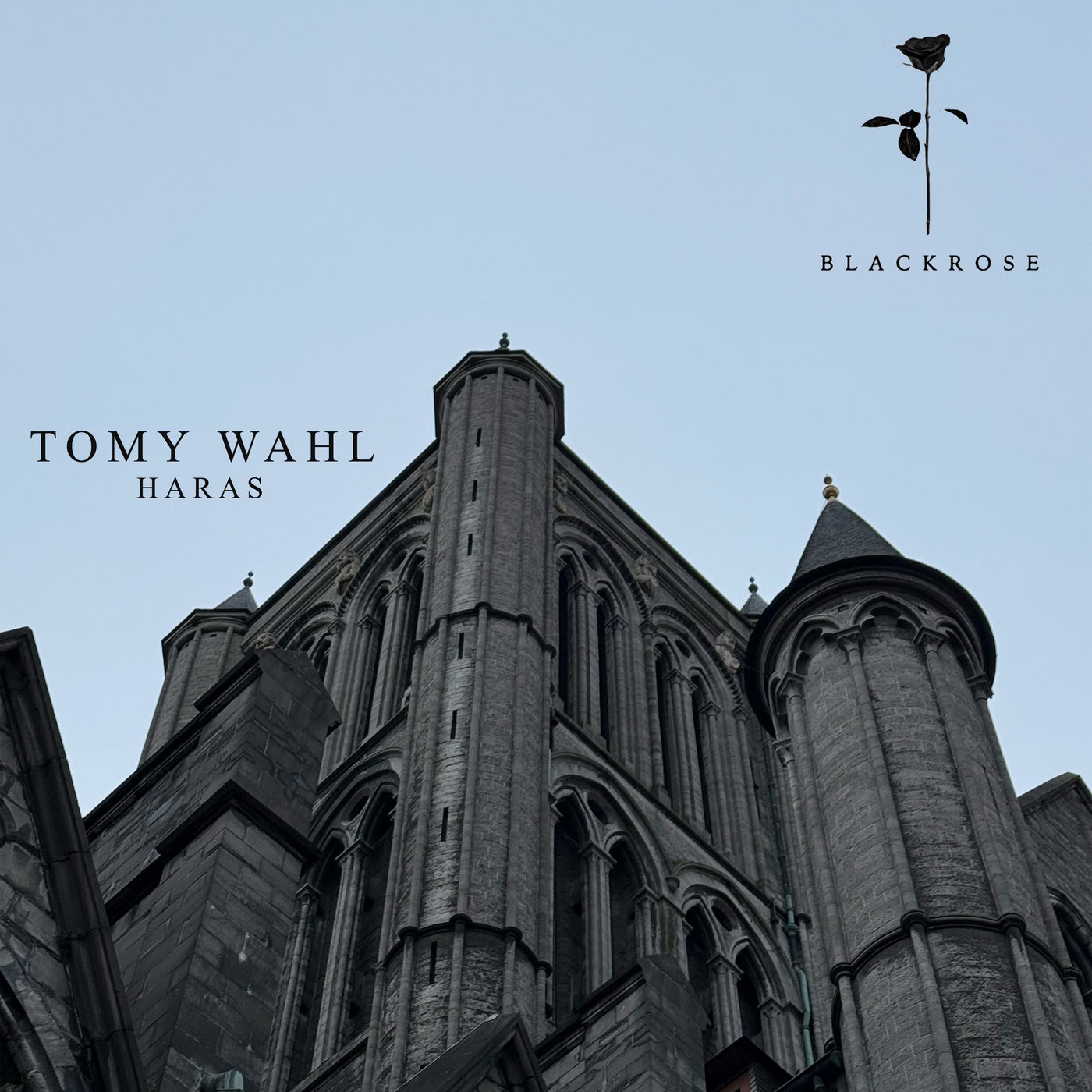 Cover - Tomy Wahl - Haras (Original Mix) Promo tools