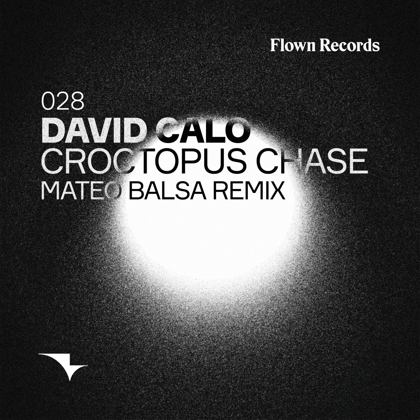 Cover - David Calo - Croctopus Chase (Mateo Balsa Remix) Promo tools
