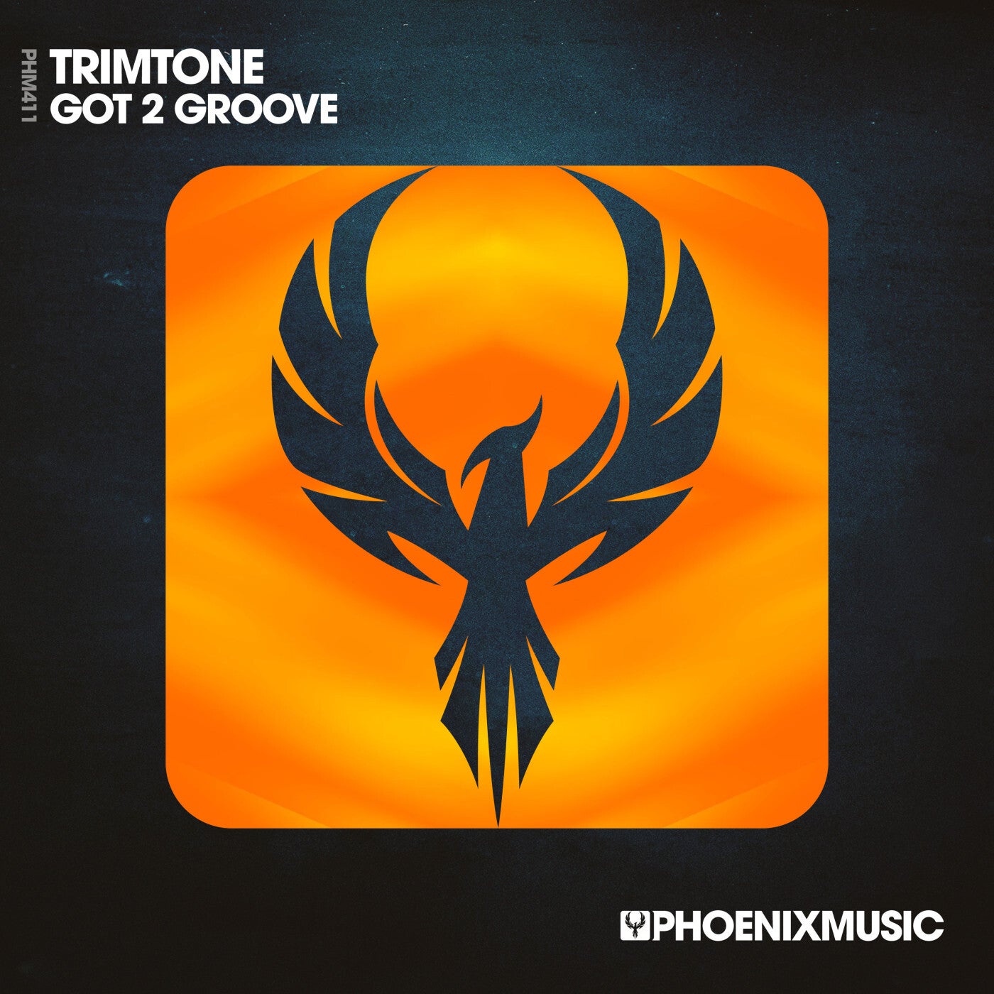 Cover - Trimtone - Got 2 Groove (Extended Mix) Promo tools