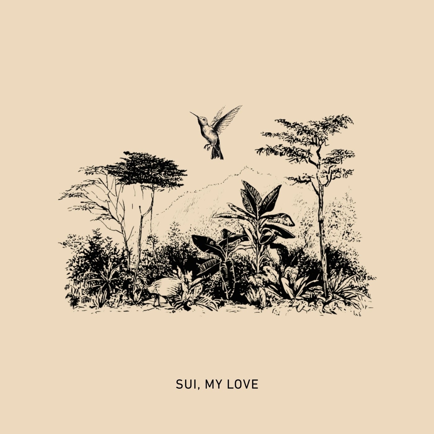 Cover - TACHES - Sui, My Love (Original Mix) Promo tools