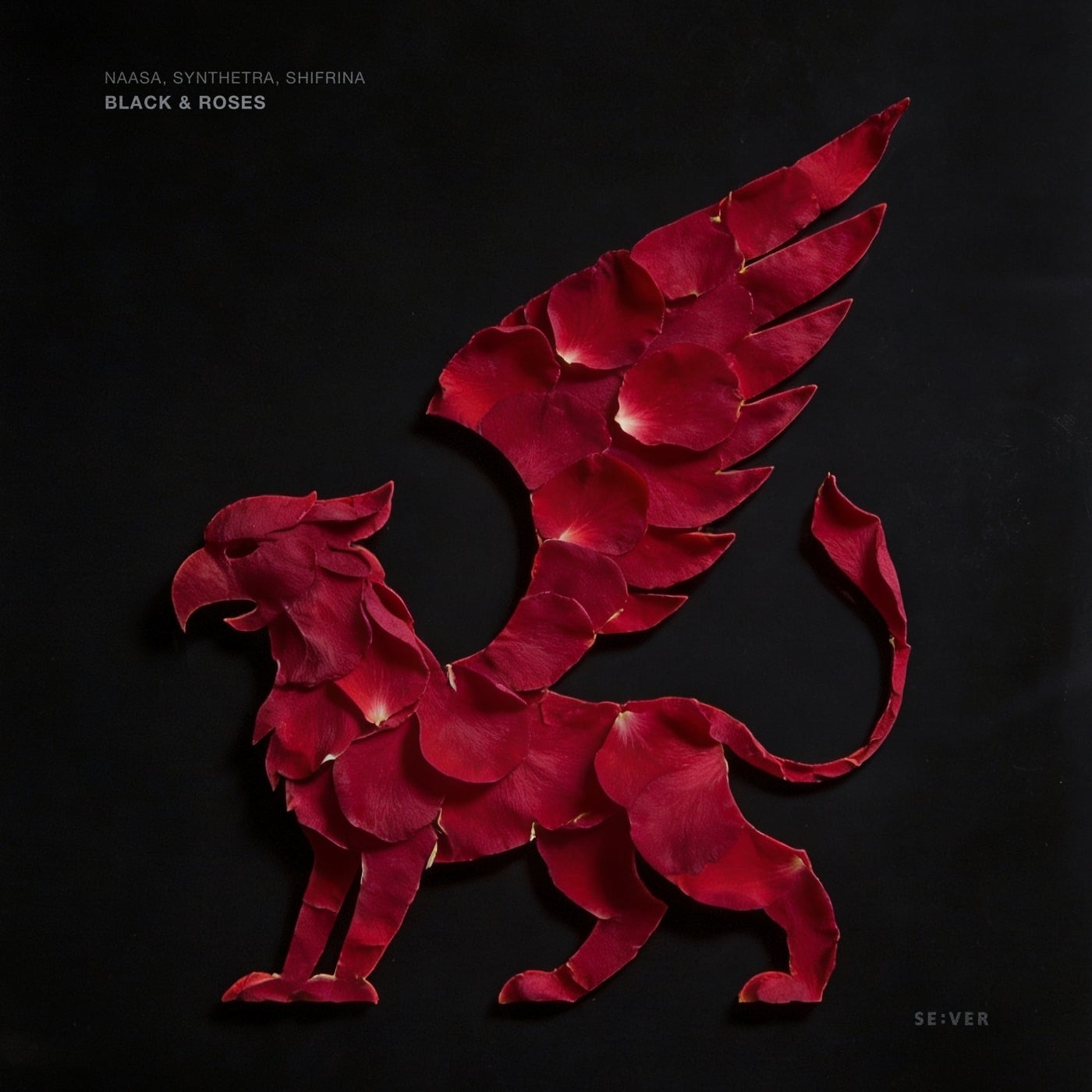 Cover - NAASA, Shifrina, Synthetra - Black & Roses (Extended Mix) Promo tools