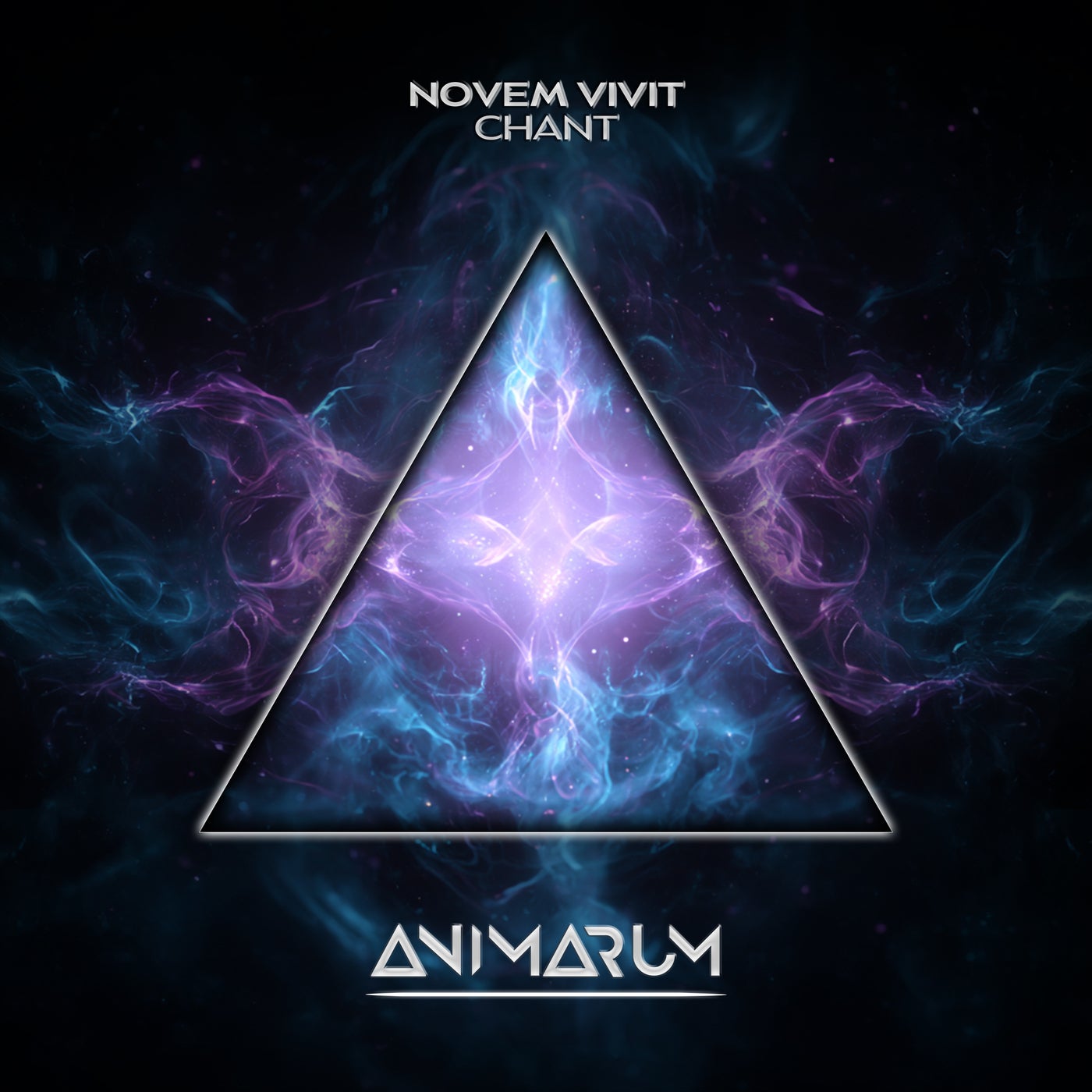 Cover - Novem Vivit - Chant (Original Mix) Promo tools