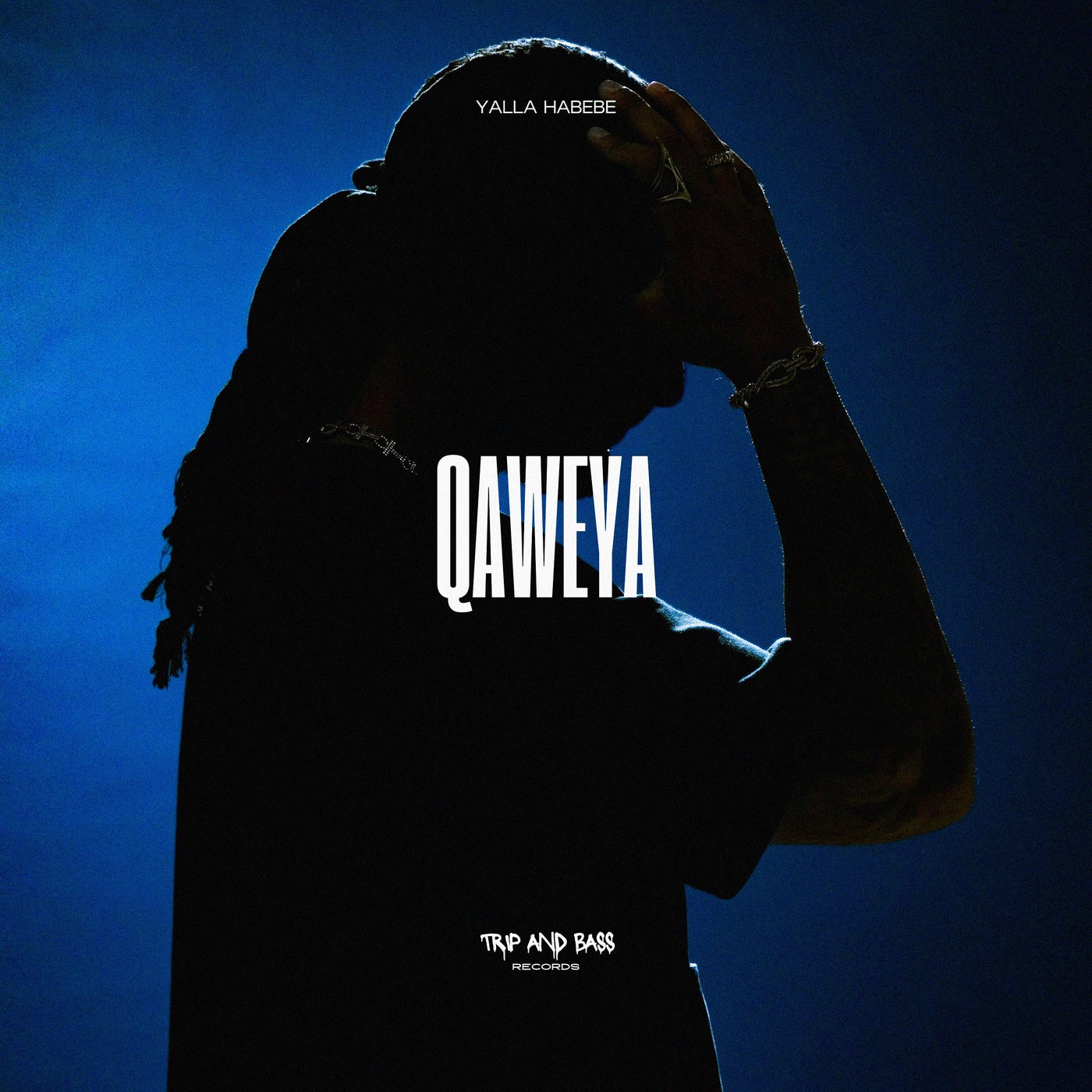 Cover - Yalla Habebe - Qaweya (Original Mix) Promo tools