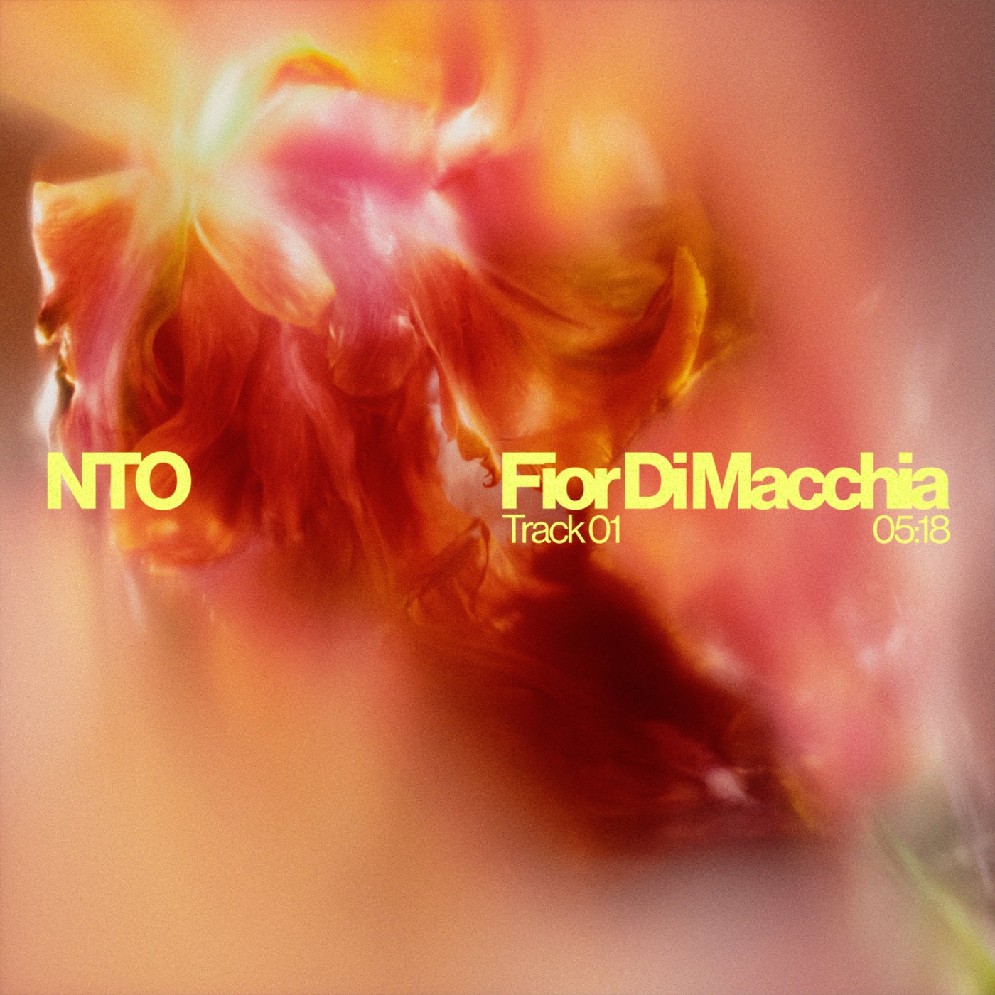 Cover - NTO (FR) - Fior Di Macchia (Original Mix) Promo tools