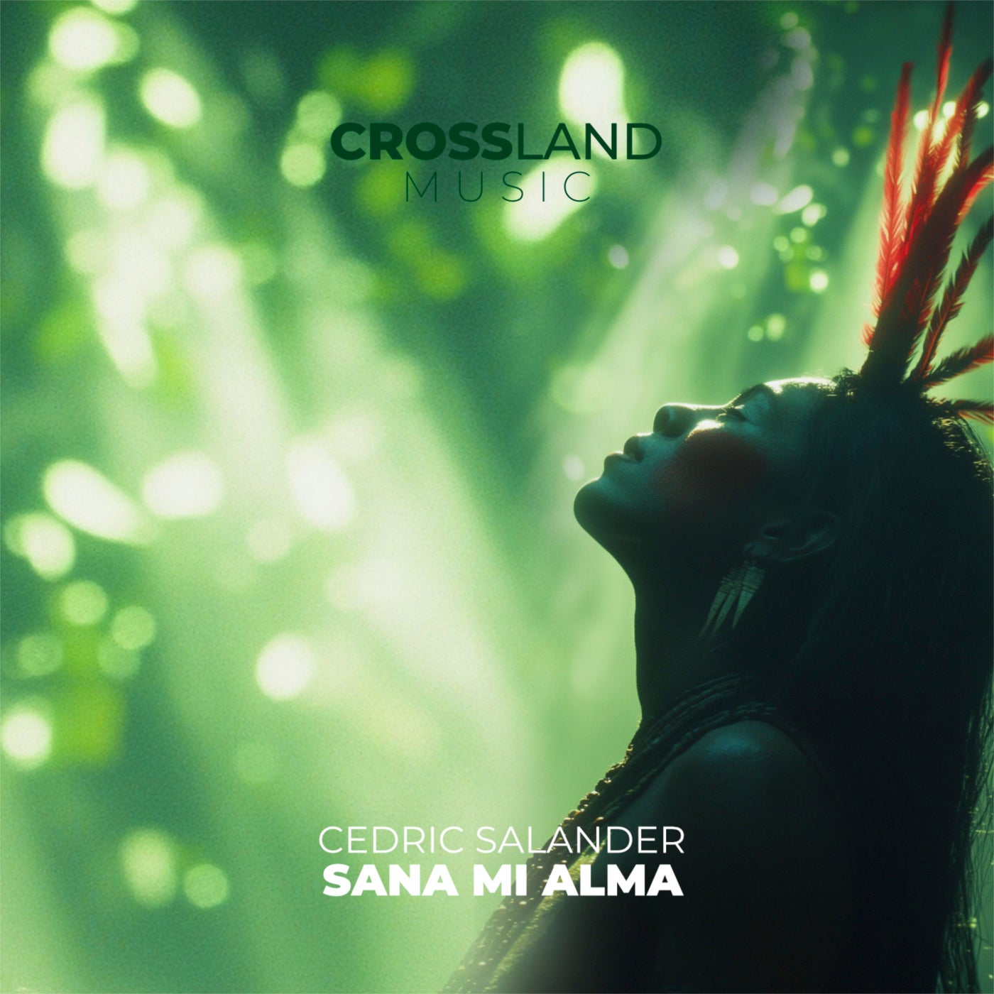 Cover - Cedric Salander - Sana Mi Alma (Original Mix) Promo tools